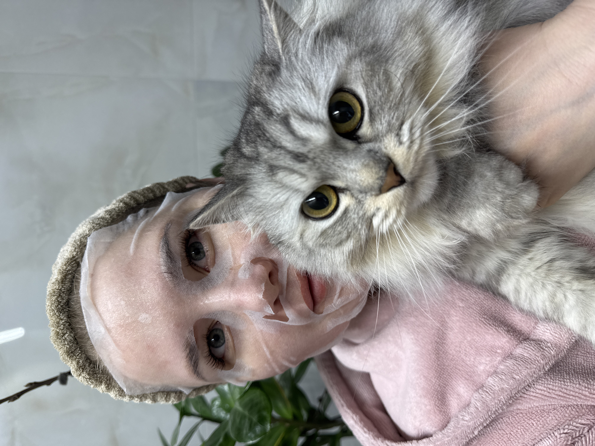 A close-up image, rotated 90 degrees counter-clockwise, shows a person wearing a face mask while holding a fluffy grey cat. The person's face is largely covered by a translucent sheet mask, with cutouts revealing blue-grey eyes, dark eyebrows, and long eyelashes, all looking directly at the viewer. A light brown, textured headband or towel holds hair back from the face. The person is dressed in a soft pink robe or garment, visible on the right side of the frame.
The cat is held by the person, its head positioned directly above the person's masked face and filling the upper right portion of the image. It is a long-haired cat with striking grey and white patterned fur and prominent white whiskers. Its large, round eyes are a captivating golden-green color, intently focused on the camera. A light brown nose is visible. A hand, likely the person's, can be seen gently cradling the cat.
In the background, a plain light-colored wall with a subtle textured pattern provides a simple backdrop. A green houseplant is partially visible in the lower left corner. The scene depicts a relaxed, intimate indoor moment, possibly a self-care routine shared with a beloved pet. No visible text is present in the image. The setting is indoors, in Gornyi (Dvurechenskoe S/P), Russia.