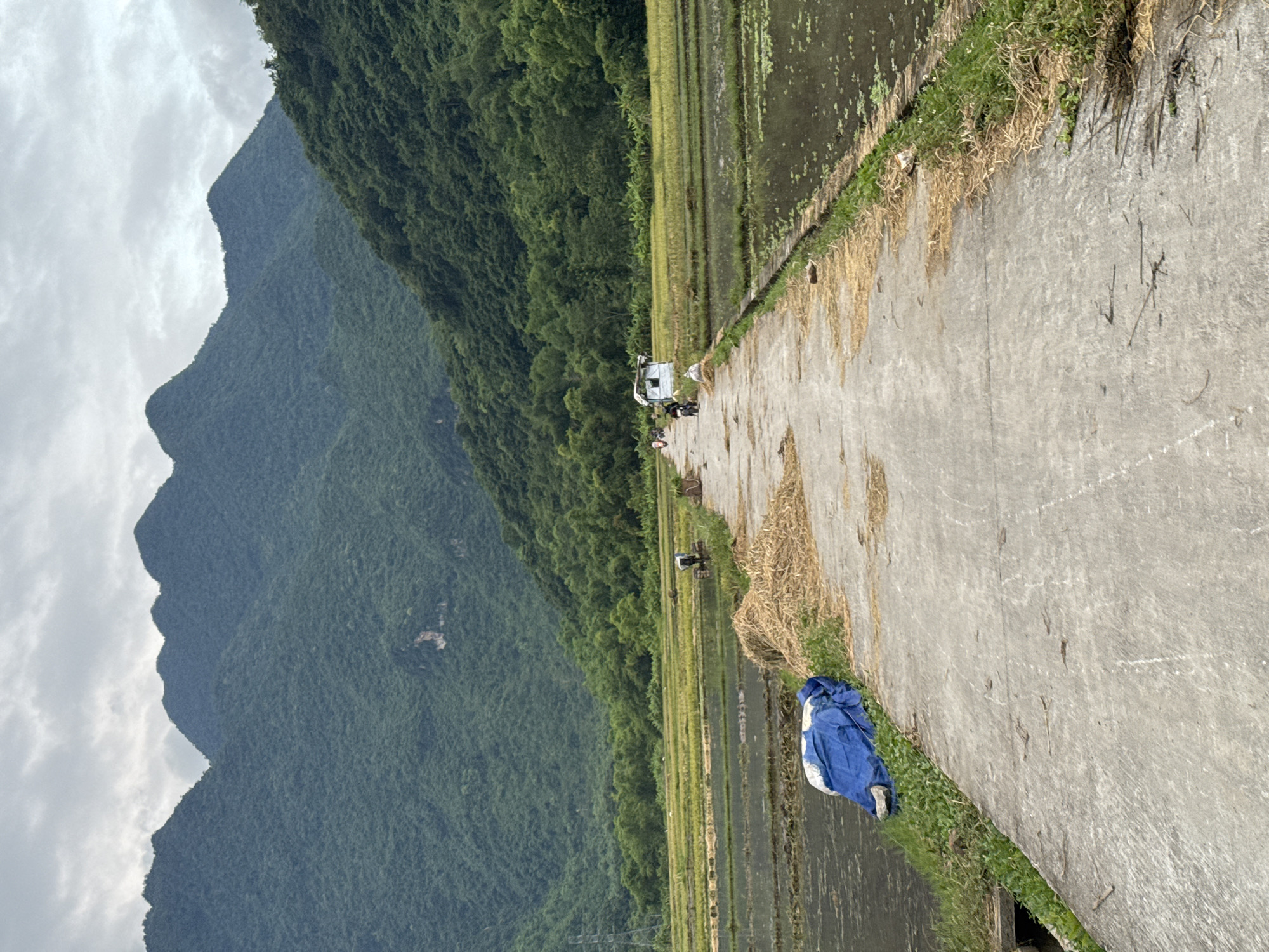 The image depicts a serene rural landscape in Chiềng Châu, Vietnam, characterized by lush green mountains and rice paddies. A paved path, possibly a rural road, runs diagonally across the foreground, with dry grass and some scattered debris along its edges. In the mid-ground, a small white vehicle, likely a utility cart, is parked on the side of the path. Several people are visible near the vehicle, engaged in an unspecified activity. Adjacent to the path are flooded rice paddies, reflecting the overcast sky and the surrounding greenery. A bright blue tarp is bundled up and resting on the grass beside the path in the lower right portion of the image. The mountains, covered in dense vegetation, dominate the left side of the frame, their slopes shrouded in a cool, muted light. The sky is filled with clouds, suggesting a possibility of rain or overcast weather. The overall impression is one of tranquil rural life, with the natural beauty of the Vietnamese countryside as the backdrop. There is no visible text in the image.