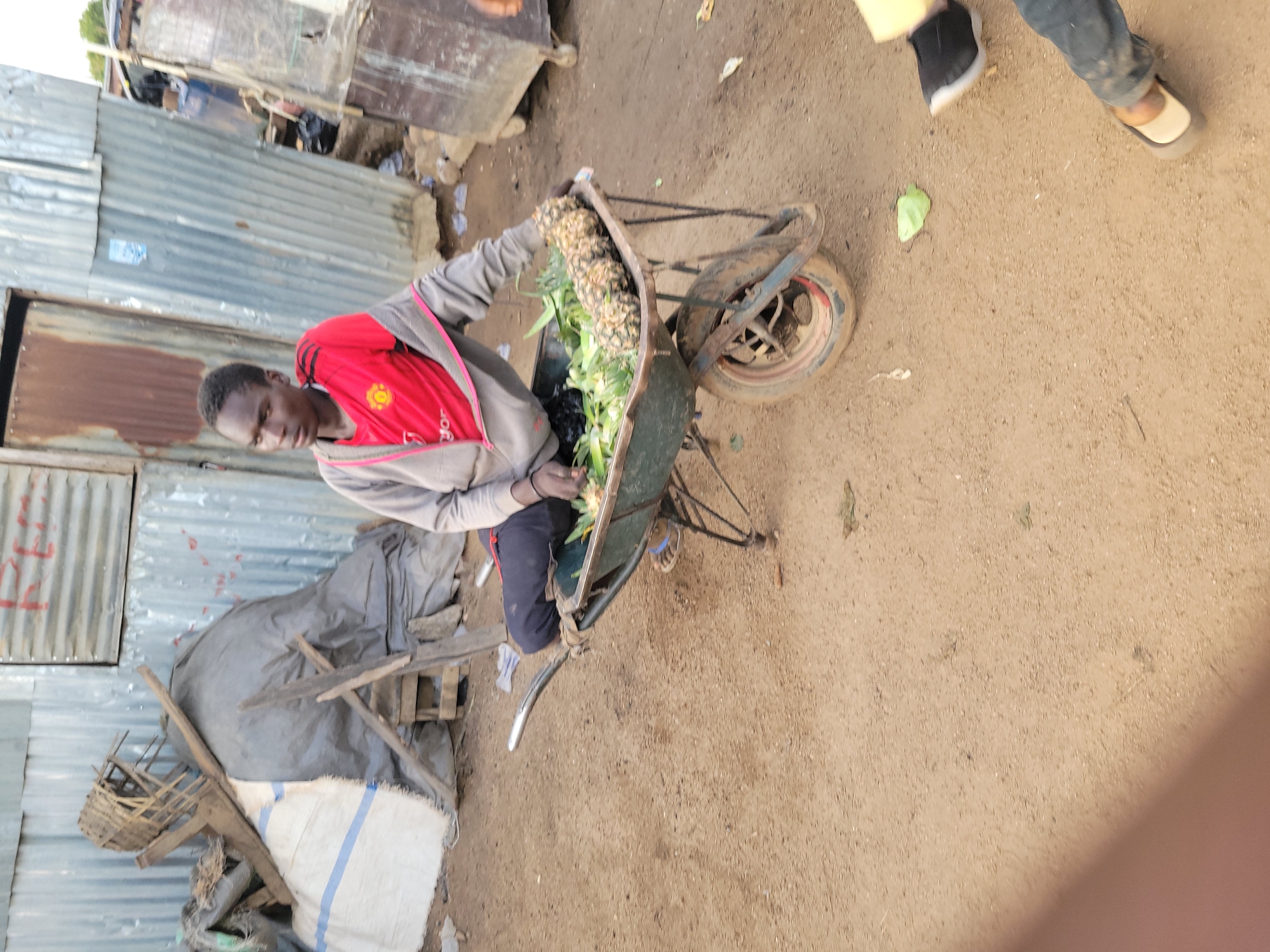 The image depicts a young man in a red and grey jacket, dark pants, and sandals, standing near a wheelbarrow filled with pineapples. He is looking towards the camera with a neutral expression. The wheelbarrow is old and rusty, with a worn tire. The scene appears to be an outdoor market or roadside stall in Gura Top, Nigeria.
Behind the man, corrugated metal structures, possibly makeshift stalls or housing, are visible, suggesting a rural or informal settlement. Some of the structures are covered with tarpaulin. Debris and agricultural waste are scattered on the dusty ground. To the left, a woven basket and some wooden supports are seen near a large, covered object, possibly goods or supplies.
The lighting suggests it is daytime, with diffused light and no harsh shadows, indicating either overcast conditions or late afternoon. The overall impression is of a bustling, everyday scene in a community where trade and commerce take place in a rustic setting. There is no visible text in the image.