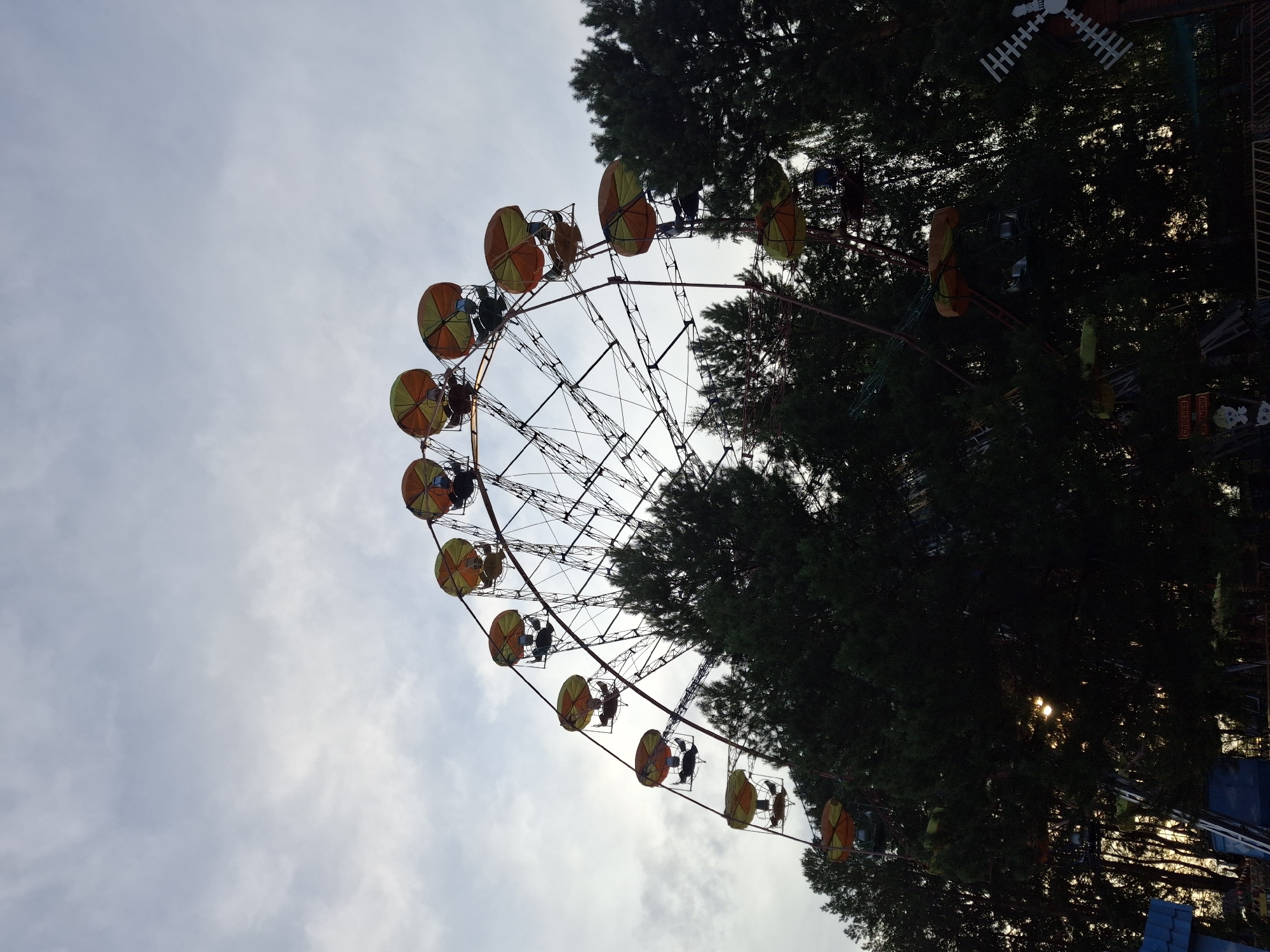 The image shows a Ferris wheel at what appears to be an amusement park or fairground. The Ferris wheel has multiple gondolas, each with a colorful canopy. The structure of the Ferris wheel is visible, with its metal spokes and supports. Surrounding the Ferris wheel are dense evergreen trees, which partially obscure the lower parts of the ride. The sky above is cloudy and overcast, suggesting a temperate climate. In the foreground, some structures that might be part of other attractions or park infrastructure are visible, including a portion of a building with a blue roof, and what appears to be a small windmill structure on the right side. The overall scene depicts a recreational area, likely in an outdoor setting, under a muted sky. The specific location in the city of Chaikovsky, Russia, is not visually ascertainable from the image alone; this information would need to be external to the visual content. There are no people clearly visible in the image.