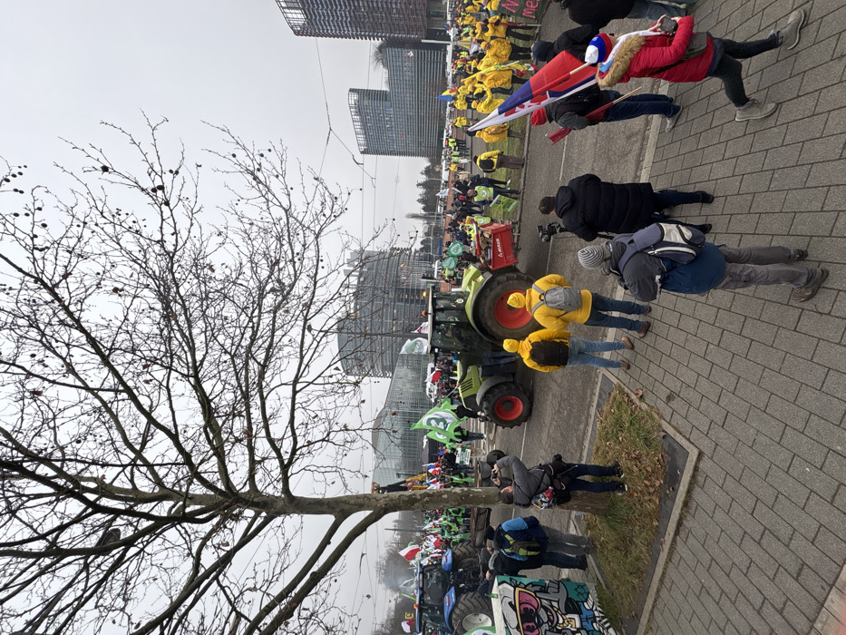 The image depicts an outdoor demonstration occurring in the European Quarter of Strasbourg, France, directly in front of the European Parliament building (Louise Weiss building) and adjacent modern architectural structures.
In the foreground, a bare deciduous tree with numerous branches occupies the left side of the frame. Below it, on a grey paved sidewalk, multiple individuals are present. One person in a black jacket with a camera is actively photographing the scene. Two individuals, dressed in yellow hoodies and backpacks, stand with their backs to the camera, observing the crowd. Another person in a dark jacket and striped beanie, also with a backpack, stands similarly. To the far right, a person in a red jacket, wearing a hat with a pom-pom, walks while holding multiple flags, including those of Slovakia and the Czech Republic. A concrete barrier with multi-colored graffiti featuring a cartoonish face is visible on the far left of the foreground.
The midground is dominated by a large gathering of people and several agricultural vehicles. Two large tractors are prominent: a blue tractor positioned on the far left, and a green Claas tractor with a red rear implement situated more centrally. The crowd largely consists of individuals wearing high-visibility yellow or green vests and jackets, indicating participation in a coordinated event. Numerous flags are being held, including Polish flags and distinct green flags bearing a white number '3'. A column of white vapor or smoke is rising from the left side of the crowd, behind the blue tractor.
The background features multiple modern, multi-story buildings with glass and steel facades, characteristic of the European institutions in Strasbourg. The most prominent building, on the left, is the distinctively curved and angular European Parliament building. The sky above is uniformly overcast and grey. The ground throughout the visible areas of the street and sidewalk is paved with rectangular grey pavers.