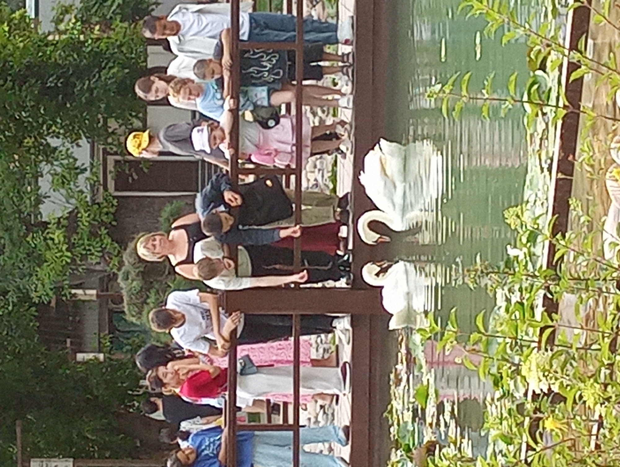 The image depicts a group of people, including adults and children, standing on a wooden boardwalk overlooking a pond. Two white swans are swimming in the pond. The people are dressed in casual summer clothing. The background shows trees and a building, suggesting an outdoor public space such as a park or zoo. The question of the location in Shymkent, Kazakhstan cannot be answered from the image alone.