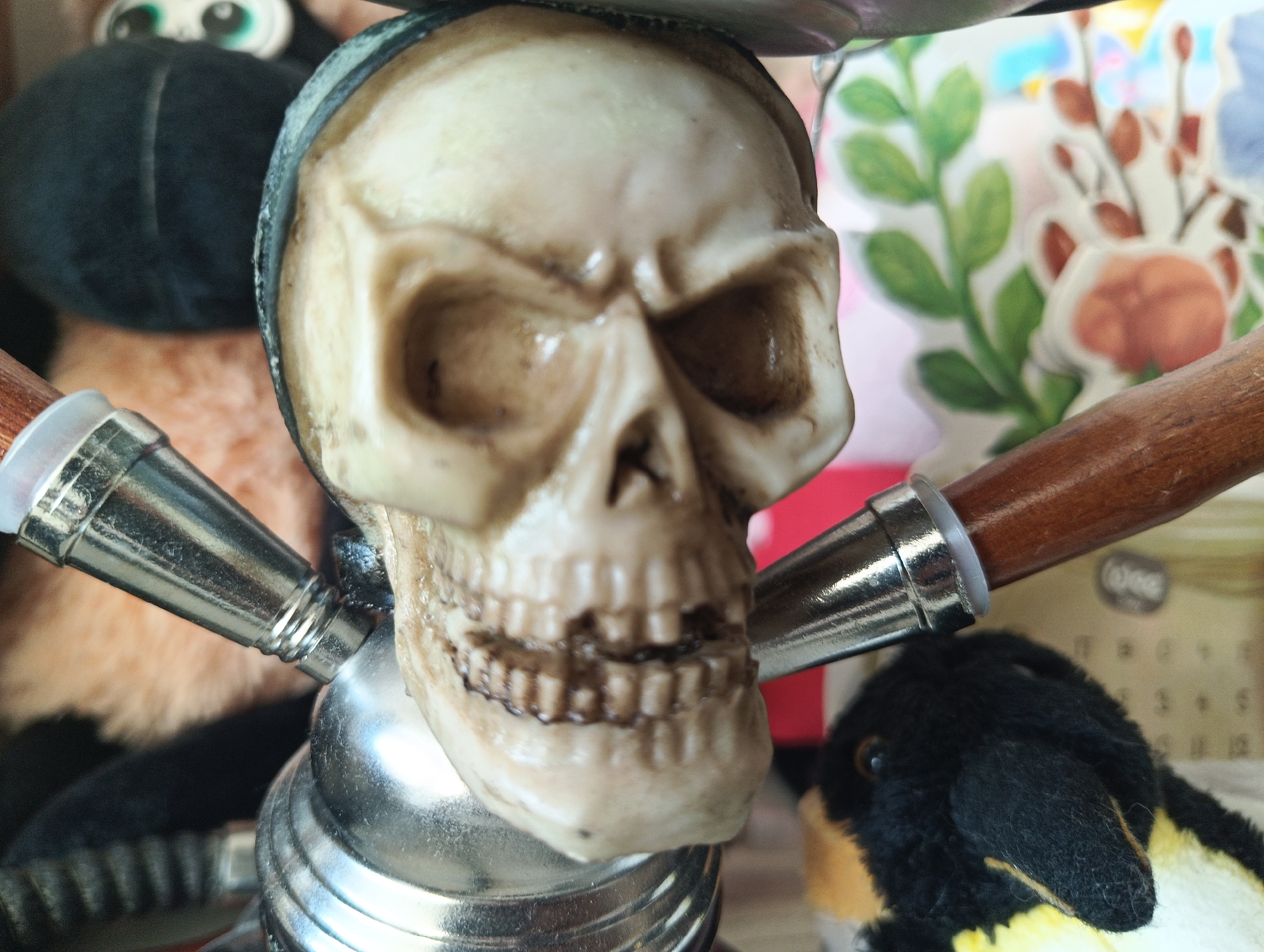 The image shows a close-up of a decorative skull, likely part of a hookah or similar item. The skull is made of a beige material with dark accents, giving it a weathered appearance. It has pronounced eye sockets and teeth, and a slight sheen suggesting it might be plastic or resin.
The skull is surrounded by various objects, creating a somewhat cluttered scene. To the left and behind the skull, parts of stuffed toys are visible, including a black object with what appears to be a large, cartoonish eye and a fuzzy, light brown texture. To the right, a black and yellow stuffed penguin is partially visible, with its head and chest in focus.
The skull is attached to metallic elements, including silver-colored tubes with wooden handles extending outwards on either side. These elements suggest the skull is an ornamental piece. In the background, a colorful, out-of-focus pattern of leaves and possibly flowers can be seen, adding to the decorative nature of the composition.
The lighting is somewhat artificial, with a direct light source illuminating the skull from the front. There are no clear indicators of time of day, weather, or specific location beyond the provided context of Karnobat, Bulgaria, which is not visually discernible in the image itself. The overall impression is of a close-up view of a decorative object, possibly part of a collection or used for display. There is no visible text in the image.