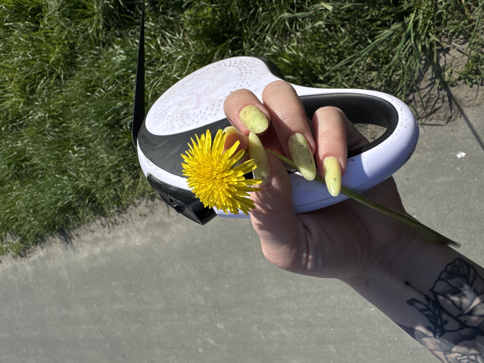 A human hand with yellow fingernails speckled with a darker color holds a dandelion, positioned against a white and black retractable dog leash. The arm visible features a floral tattoo. The background shows green grass and a concrete surface. The location appears to be outdoors.