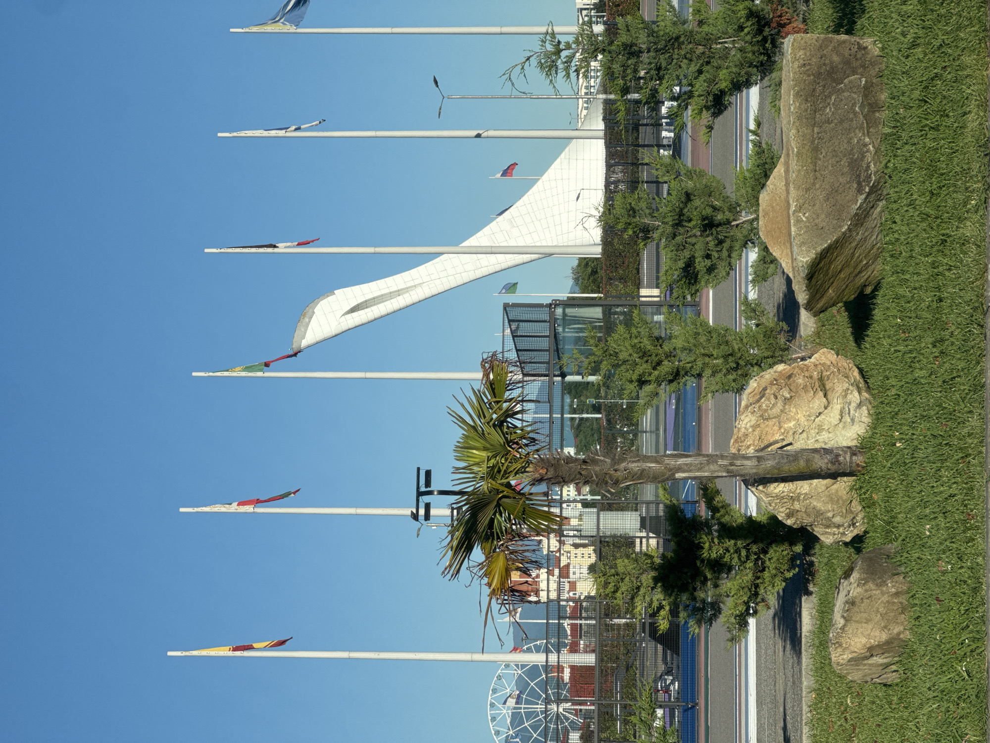 The image displays a modern, well-maintained outdoor public space in Sirius, Russia, under a clear, bright blue sky. Numerous tall, white flagpoles ascend vertically, adorned with various colorful flags of red, yellow, green, white, and blue hues, fluttering gently in the breeze.
A prominent feature in the mid-ground is a sleek, white, contemporary architectural structure with a distinctive curved, upward-sloping design, possibly part of a stadium or major building. Surrounding this structure and extending into the foreground are diverse green plantings, including manicured coniferous trees and a tall, leafy palm tree.
Large, weathered boulders of light brown and grey tones are artfully placed on vibrant green grass that occupies the lower right portion of the scene. A paved road or pathway, featuring white markings, runs horizontally across the image, separated by dark metal fencing from a potential sports court or track with blue surfaces. In the background, further urban buildings are visible, and a large white Ferris wheel is partially seen on the left, hinting at nearby recreational facilities.
The bright sunlight casts crisp shadows, indicating a sunny day, likely mid-morning or afternoon. The scene is devoid of people or specific activities, exuding a calm and orderly atmosphere. No visible text is present in the image.