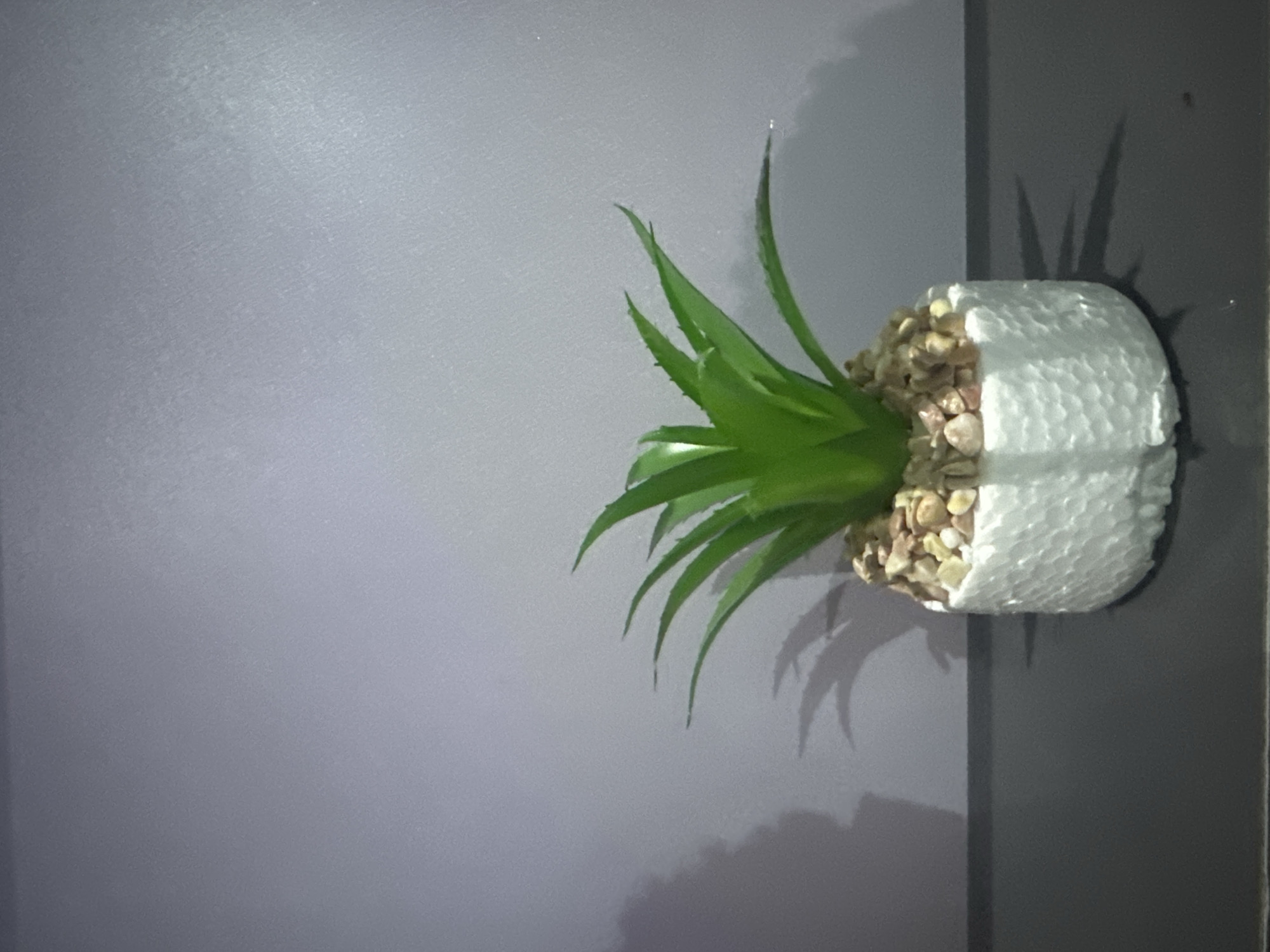 A small, artificial succulent plant in a white textured pot sits on a dark, flat surface against a plain, light purple background. The plant has green, spiky leaves and is topped with small, light brown pebbles. A shadow of the plant is cast on the background to the left. The scene is well-lit, highlighting the plant and its details. There are no people or discernible actions taking place in the image. The image does not provide any information or context related to the city of Ajara, Nigeria.