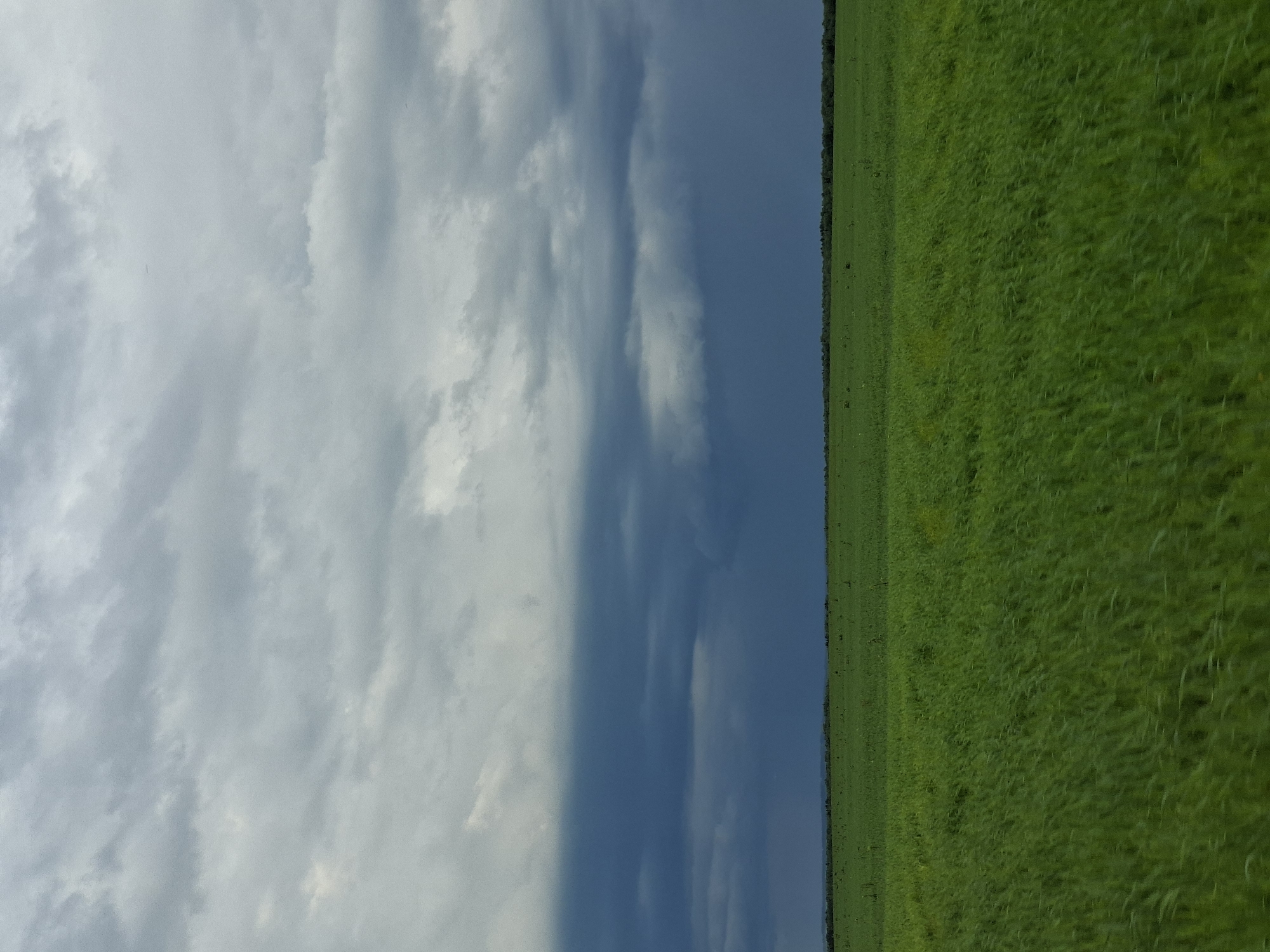 This media file depicts a rural scene with a vast, grassy field on the right side, extending to the horizon. The field is a vibrant green, suggesting it's well-maintained or a natural meadow. On the left side, the sky is visible, characterized by dramatic clouds. The clouds are a mix of light gray and darker, stormy blues, indicating a dynamic weather pattern, possibly with rain approaching or passing. The division between the sky and the field is a sharp, vertical line, creating a striking contrast between the earthy tones of the landscape and the atmospheric drama above. There is no text visible in the image, and no people or specific objects are identifiable. The lighting suggests it could be late afternoon or evening, given the moody sky. The location context of Karsha, Russia, implies a temperate climate where such expansive fields and changeable weather are common. The overall mood is one of natural beauty and the power of the elements.