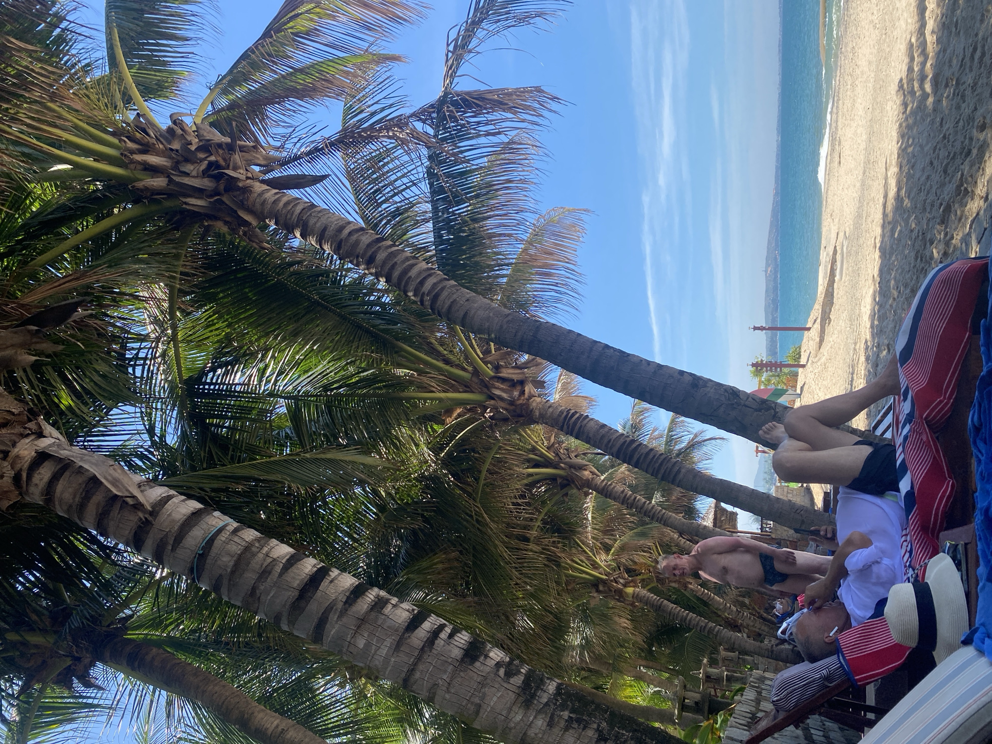 This image depicts a beachfront scene in Phu Thuy Ward, Vietnam. Two individuals are present. In the foreground, a person lies on a lounge chair, wearing a white t-shirt and black shorts, and appears to be using a mobile phone. Next to them on the chair is a straw hat. In the background, another person stands, wearing black swimming trunks. The environment consists of a sandy beach, the ocean, and numerous palm trees providing shade. The sky is blue with some light clouds. In the distance, a coastline with buildings and hills is visible.