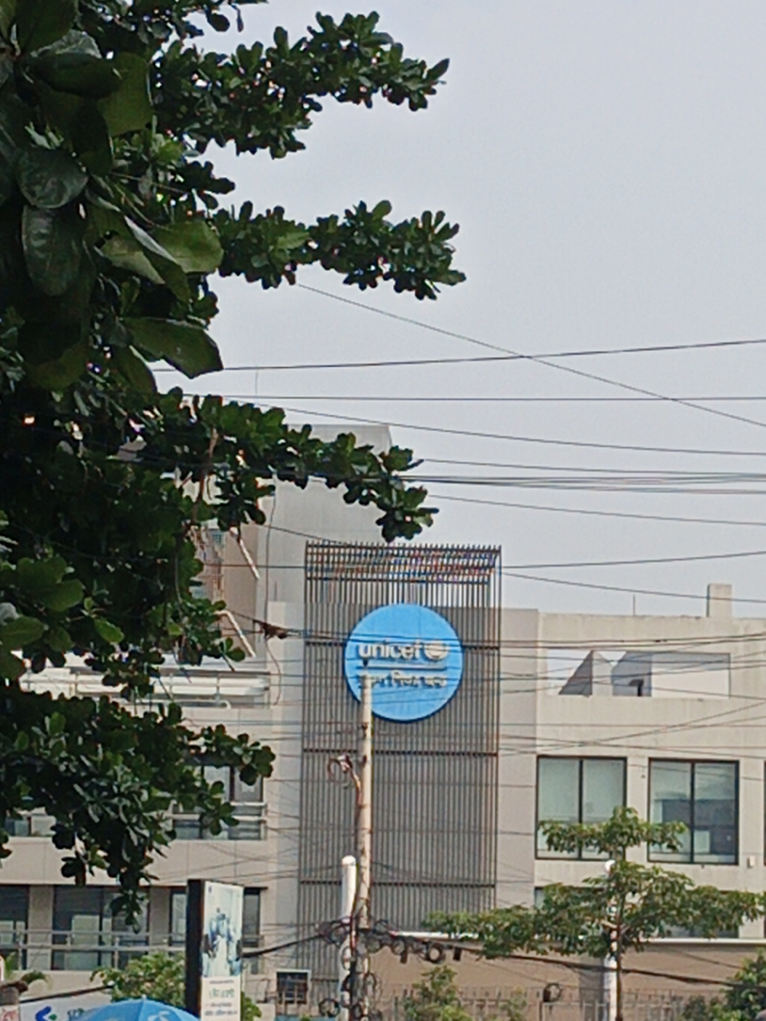 A daytime medium shot of a building with a UNICEF sign in the city of Unknown, Unknown. The sign is circular and blue, with the UNICEF logo and text visible. The building is light-colored with multiple windows and a metal lattice structure behind the UNICEF sign. There are power lines in the sky. Green trees partially obscure the view of the building on both sides. A smaller tree is near the bottom right of the frame. There is a sign and other street-level features near the bottom of the image, partially obscured. The sky is overcast.