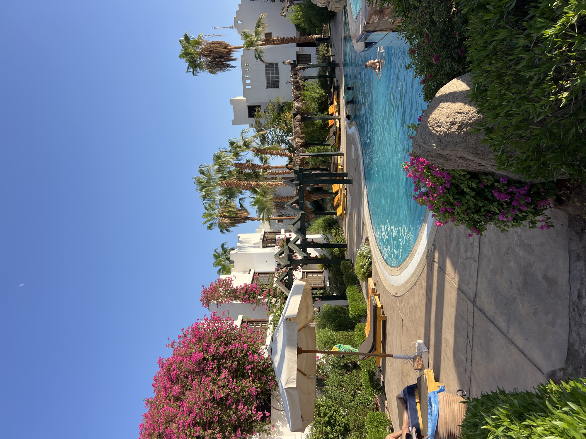 The image depicts a resort swimming pool area in Sharm El Sheikh, Egypt, under a clear blue sky. The pool, filled with turquoise water, curves into the foreground. Several people are visible in the water, including two women swimming and another person partially submerged. Surrounding the pool is a paved area with lounge chairs, some occupied by unseen individuals.
To the left, a large white umbrella shades two lounge chairs. Lush green foliage and vibrant pink bougainvillea bushes are abundant, climbing up white, low-rise buildings that feature arched windows and wooden balconies. Palm trees are scattered throughout the scene, their fronds reaching towards the sky. A crescent moon is faintly visible in the upper left portion of the sky. The architecture suggests a Mediterranean or North African resort style. The overall impression is one of a sunny, relaxing vacation environment.