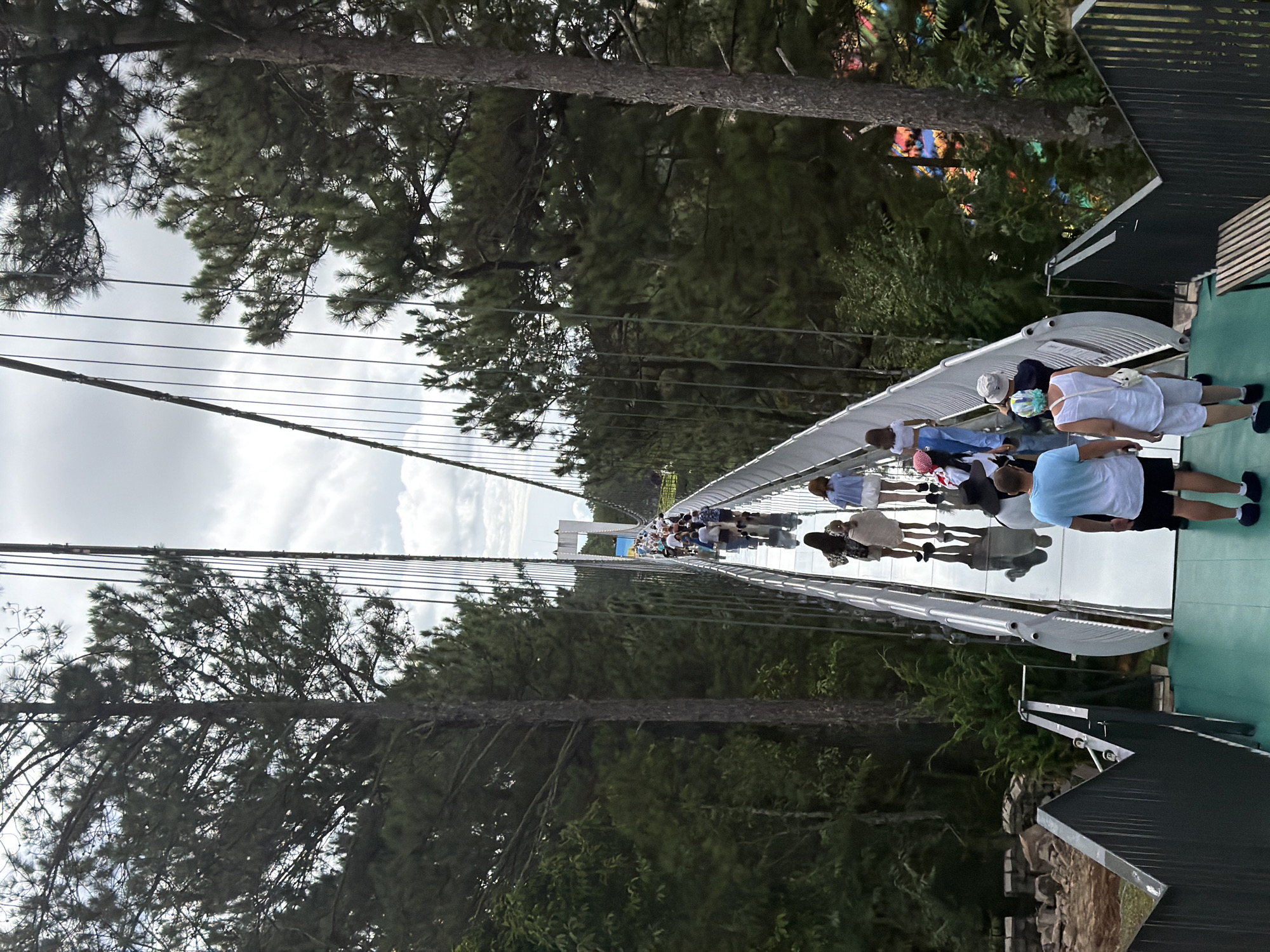 The image shows a long, suspended glass-bottomed bridge in a forest. The bridge is lined with people walking in both directions. The bridge is supported by cables and is surrounded by tall pine trees. The sky is cloudy. The scene appears to be a tourist attraction in Lâm Viên - Đà Lạt, Vietnam.