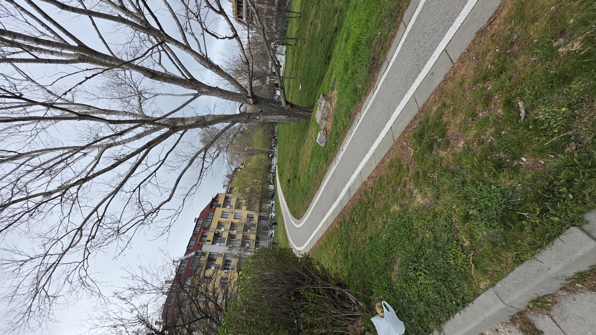 The image depicts a curving section of a pedestrian or bicycle path lined with white paint, adjacent to a grassy area and a concrete curb. Bare trees are visible on the left side, with residential buildings in the background. The location is in Blagoevgrad, Bulgaria. There is a white plastic bag on the grass. The sky is overcast.