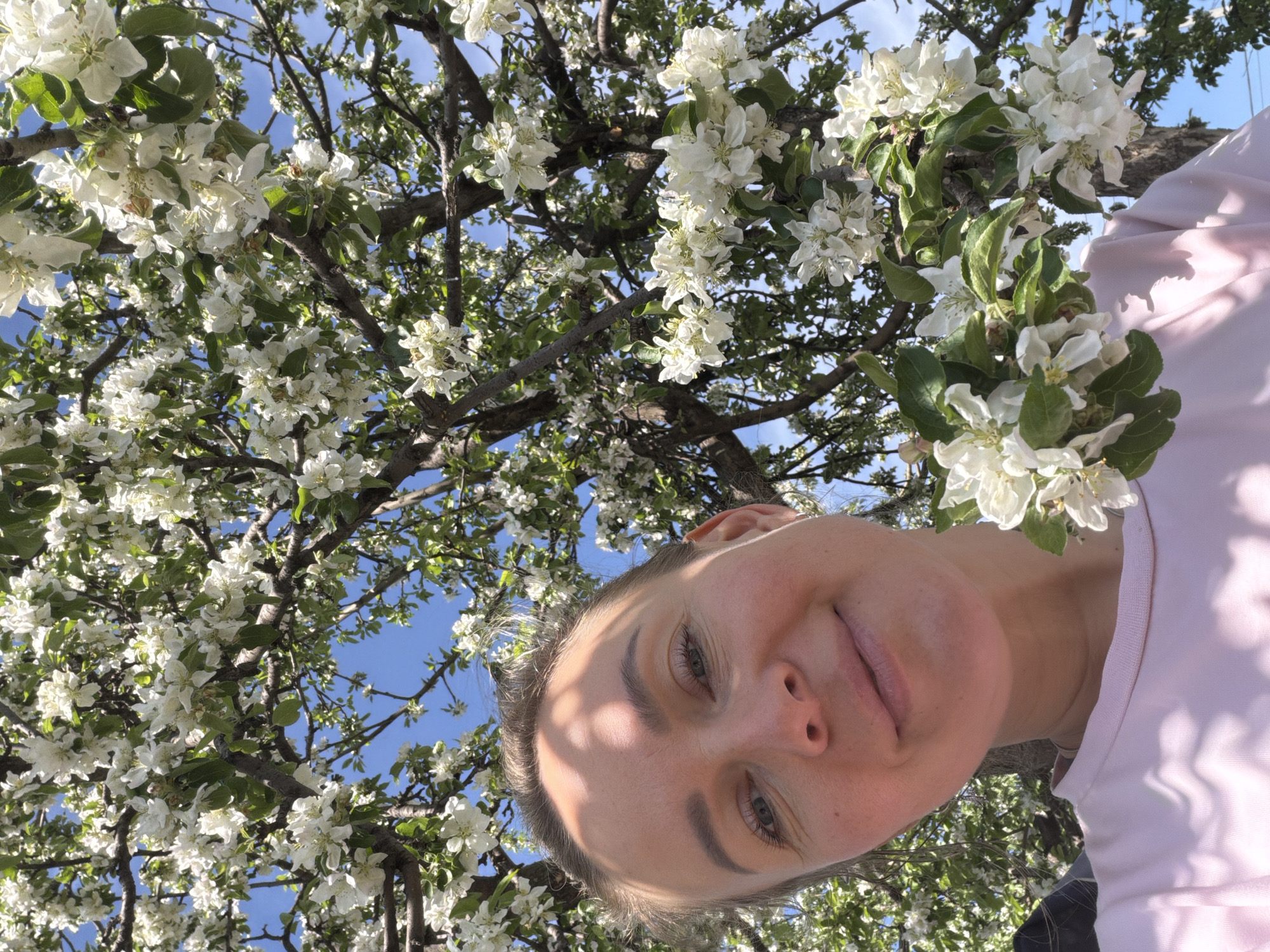 A woman is holding the camera up to her face from a low angle, tilting it backward so that a tree with white blossoms fills the rest of the frame. The woman has fair skin, short hair, and is wearing a light pink t-shirt. The tree is full of small white flowers and green leaves, with branches stretching across the blue sky. The photograph was taken outdoors in the city of Chaikovsky, Russia.