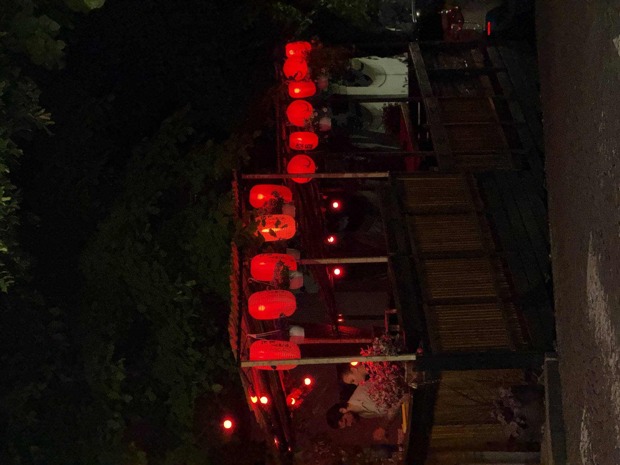 At night in Belgrade, Serbia, a vertical row of illuminated red lanterns hangs from a structure near lush greenery. The lanterns vary slightly in shape and are positioned at different heights. The structure appears to be part of a building, with wooden elements and an awning. The scene includes foliage, adding to the nighttime ambiance. The lighting is generally dim except for the bright lanterns, which create focal points. A person is subtly visible near the bottom of the image, partially obscured by foliage and the awning structure. The environment consists of a blend of natural and constructed elements.