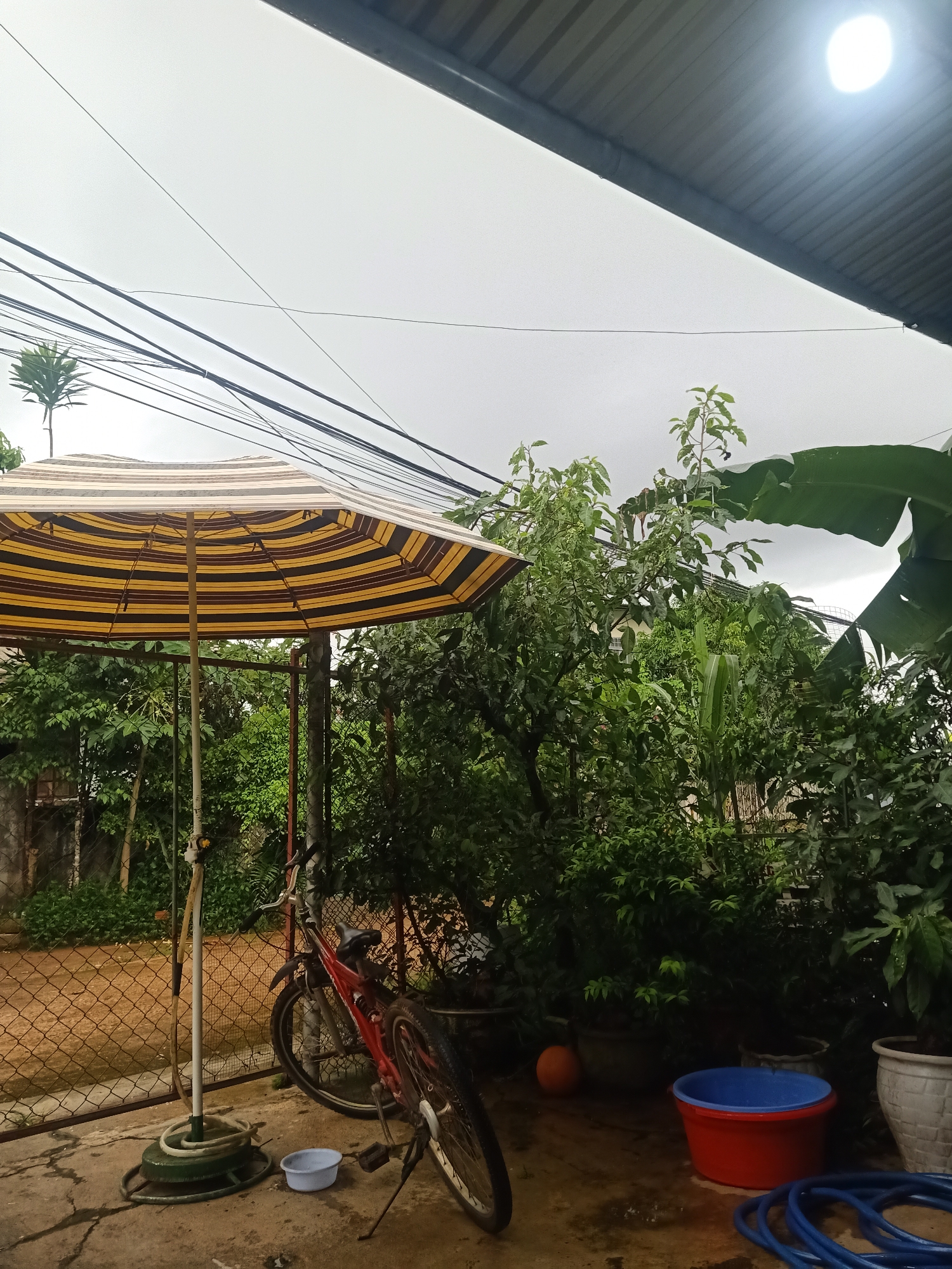 The image shows an outdoor scene beneath a corrugated metal roof, likely a carport or patio, in Bờ Y, Vietnam. Overhead, a multitude of black electrical wires are strung across a pale, overcast sky. On the left, a large, striped umbrella with yellow and brown bands is open and supported by a white pole. A red bicycle is leaning against a metal fence. In front of the umbrella base, a small white bowl sits on the concrete ground. To the right of the bicycle, a large red basin with a blue rim is positioned on the concrete. A blue hose is coiled in the foreground. Behind the fence, dense green foliage is visible. In the distance, the sky is a uniform gray, with a bright, circular light source in the upper right corner, possibly a lamp or the sun diffused by clouds. The overall atmosphere suggests a humid, possibly rainy or recently rained-upon environment, common in Vietnam.