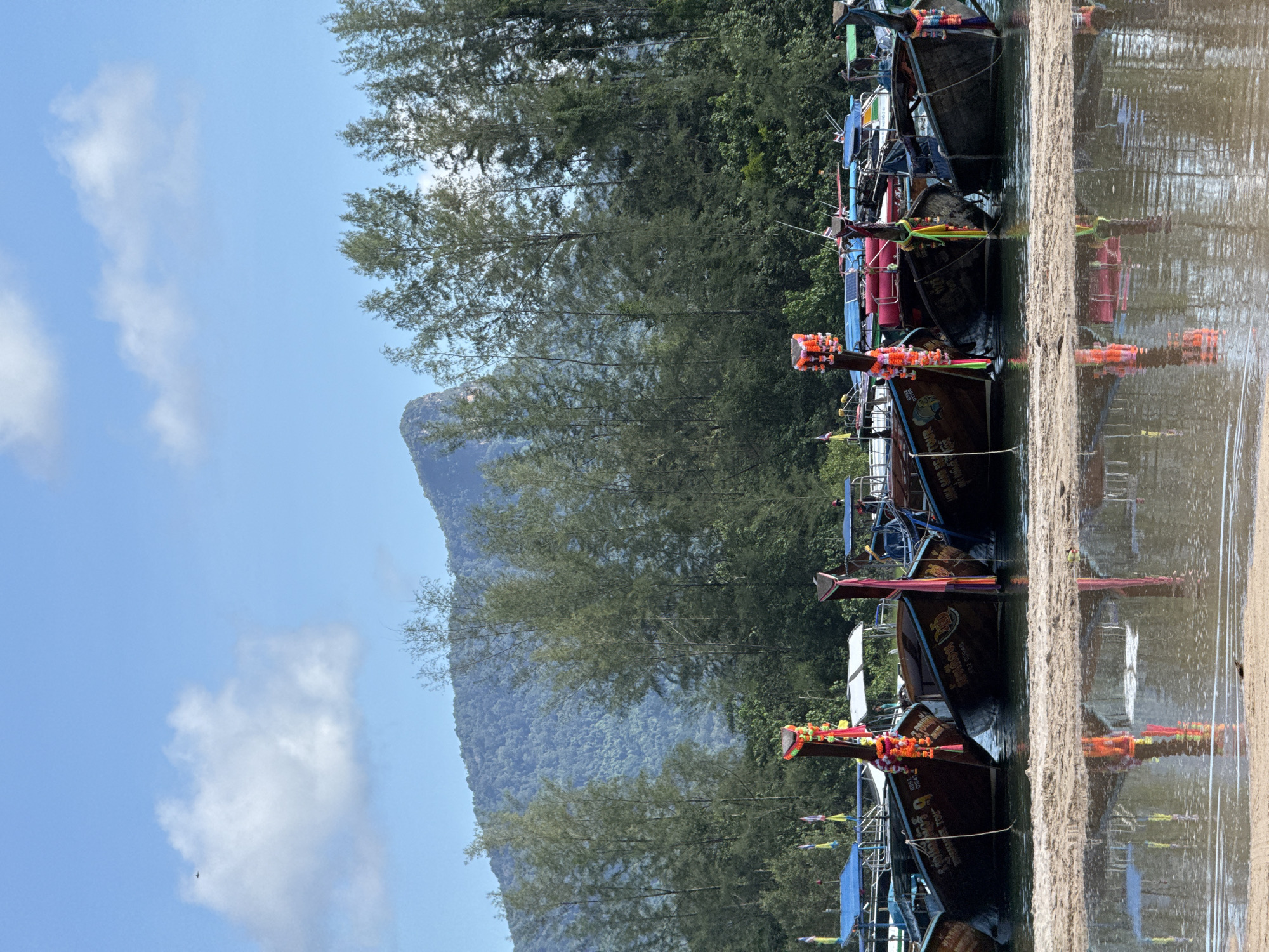 A row of traditional Thai longtail boats are moored in shallow water near a sandy shore. The boats are wooden with colorful decorations, including garlands and streamers, adorning their prows. Behind the boats, a dense line of tall, slender pine trees stretches across the middle ground. In the background, a lush, verdant mountain rises majestically, its slopes covered in dense vegetation. The sky is a clear blue with a few scattered white clouds, one of which appears to have a small dark object, possibly a bird or an aircraft, silhouetted against it. The scene is tranquil and picturesque, evoking a sense of natural beauty and traditional Thai culture. This scene is likely located in Ban Klong Haeng, a coastal village in Krabi Province, Thailand, known for its stunning natural landscapes and traditional longtail boat tours.