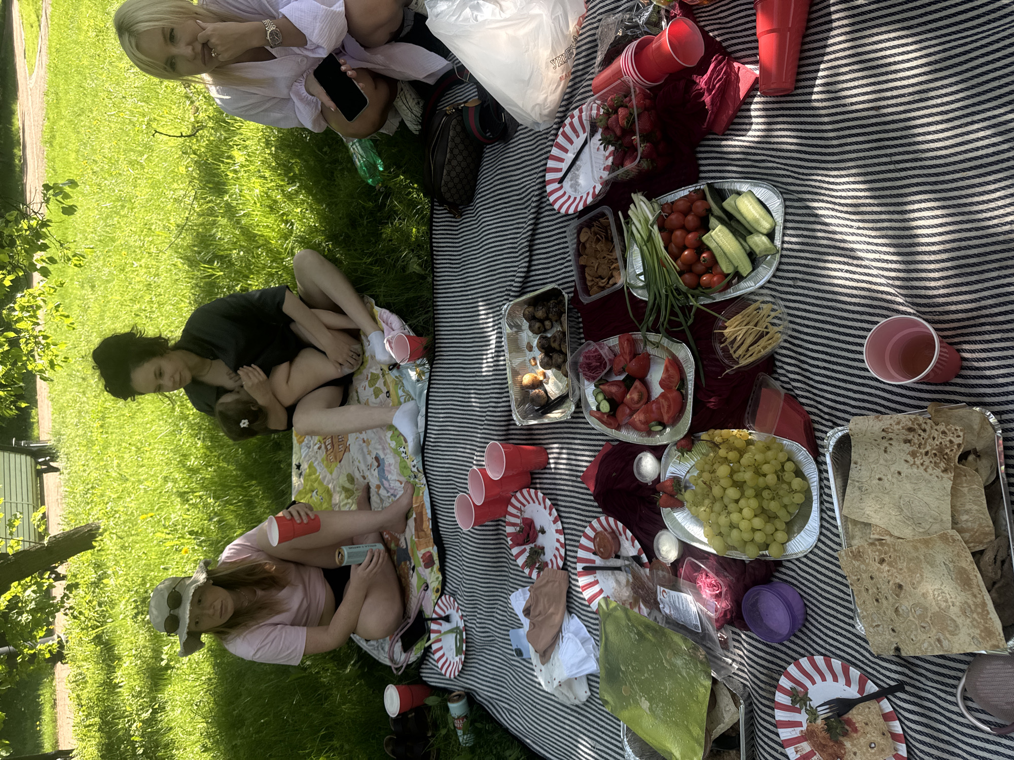 The image depicts a group of people enjoying a picnic outdoors. Three women are visible, with one holding a child. Food items such as strawberries, grapes, vegetables, and flatbread are spread out on a striped blanket. There are red plastic cups scattered around. The scene is set on a grassy lawn with trees in the background. The location is potentially in Moscow, Russia, but there is no definitive evidence within the image to confirm this.