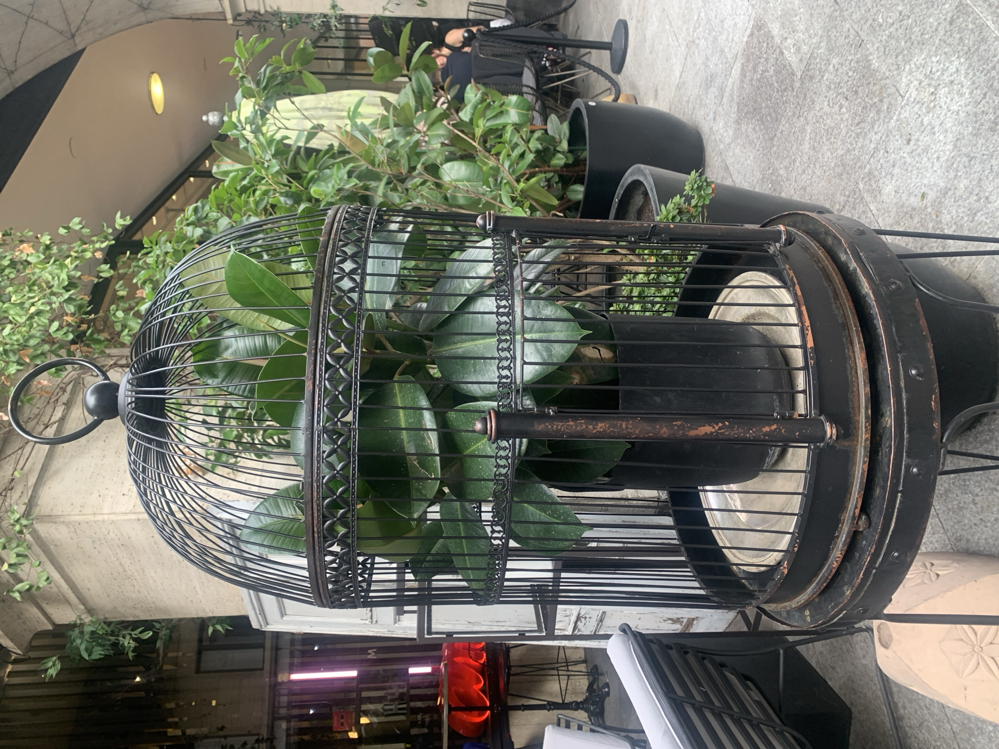 An ornate, black metal birdcage, standing on a decorative pedestal, encloses a large, leafy green plant. The birdcage is positioned outdoors, on a paved surface that appears to be a sidewalk or patio. Behind the birdcage, lush green foliage and trees are visible, suggesting an outdoor seating area of a cafe or restaurant. In the background, a person is seated at a table. To the left, a tall, round table with a red illuminated top and a bar stool are partially visible, along with a white wooden structure. The architecture suggests a European city setting, possibly Lugano, Switzerland, given the context. The lighting is overcast, indicating a cloudy day.