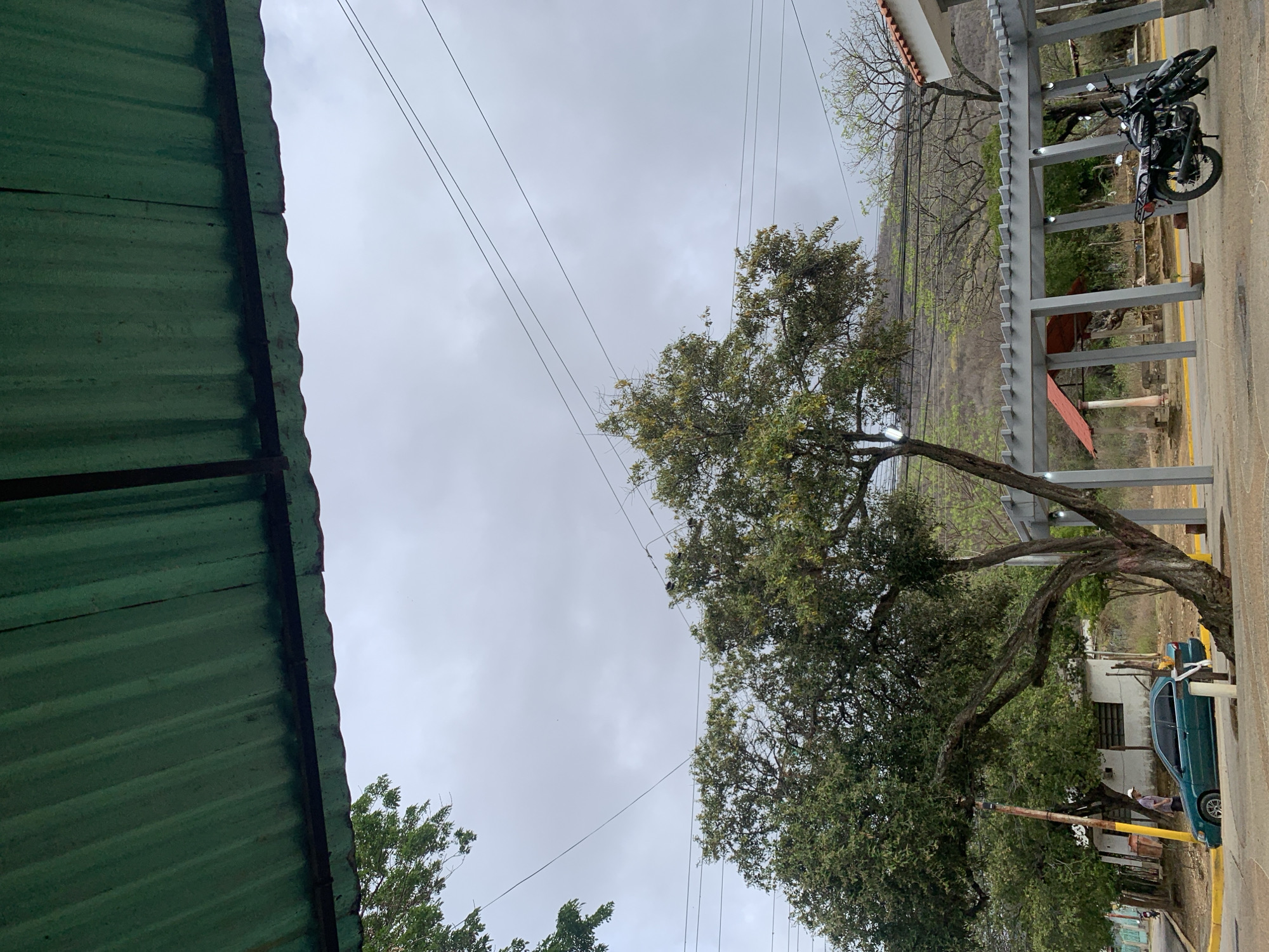 The image, taken in La Tagua, Venezuela, presents an outdoor scene under a predominantly overcast sky. In the upper left foreground, a section of a weathered green corrugated metal roof is visible, extending across the top edge. Below the roof, another tree with green foliage is partially seen.
The sky, filled with grey clouds and crisscrossed by multiple thin power lines, dominates the upper and central parts of the frame. A large, mature tree with a gnarled, multi-branched trunk and dense green leaves stands prominently in the midground, leaning towards the right side of the image.
To the right of this tree, a grey pergola-like structure with several vertical supports and small lights runs along what appears to be a paved area. A black motorcycle is parked beneath this structure. Further into the background, a mountainous or hilly landscape, partially covered with vegetation, can be seen.
On the right side of the image, a paved road or pathway is visible, alongside which a teal or light blue car is parked. A person, wearing a light-colored shirt and dark shorts, is faintly visible near the car. Yellow posts or barriers are positioned along the roadside. The scene conveys a quiet, ordinary daytime atmosphere, typical of a semi-rural or small-town setting. There is no visible text in the image.