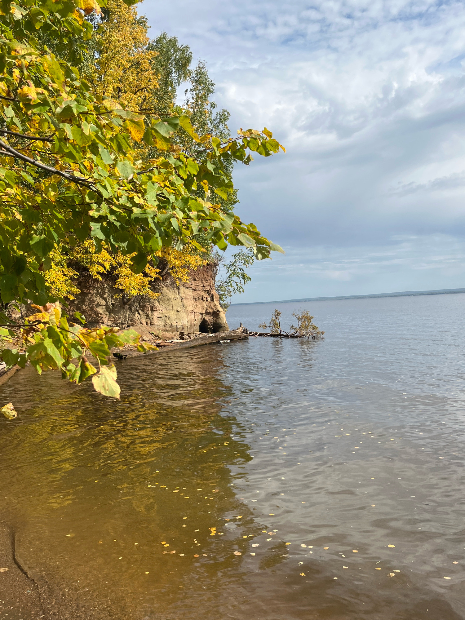 An autumnal view of the Kama River embankment in Chaikovsky, Russia, shows a steep, sandy bank on the left, adorned with trees displaying yellow and green foliage. The water's surface reflects the sky and the trees, with fallen leaves scattered across it and near the shore. A few weathered trees emerge from the river further out. The sky above is cloudy with patches of blue.
