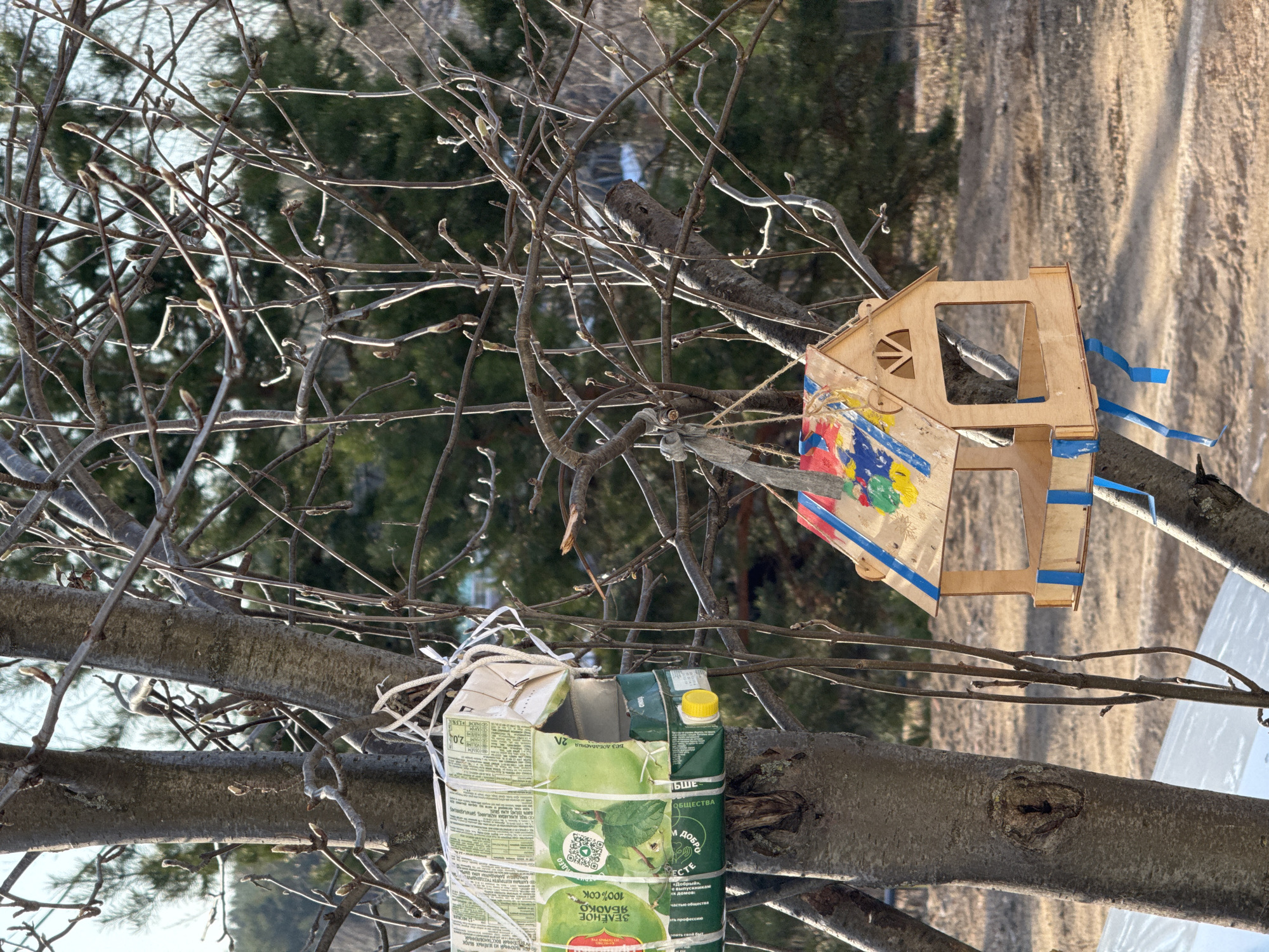 The image shows a tree in what appears to be an outdoor location in Russia. A homemade bird feeder made of wooden pieces painted with blue, yellow, and red paint and a triangular entrance is attached to a tree branch and held together with blue tape. At the base of the bird feeder are two juice boxes attached to the same branch with white string. The juice boxes are green and white and labeled with Russian text, including the words "ЗЕЛЕНОЕ ЯБЛОКО" (Green Apple) and "100% COK" (100% Juice). The area around the tree appears to be a residential or park area in a winter setting.