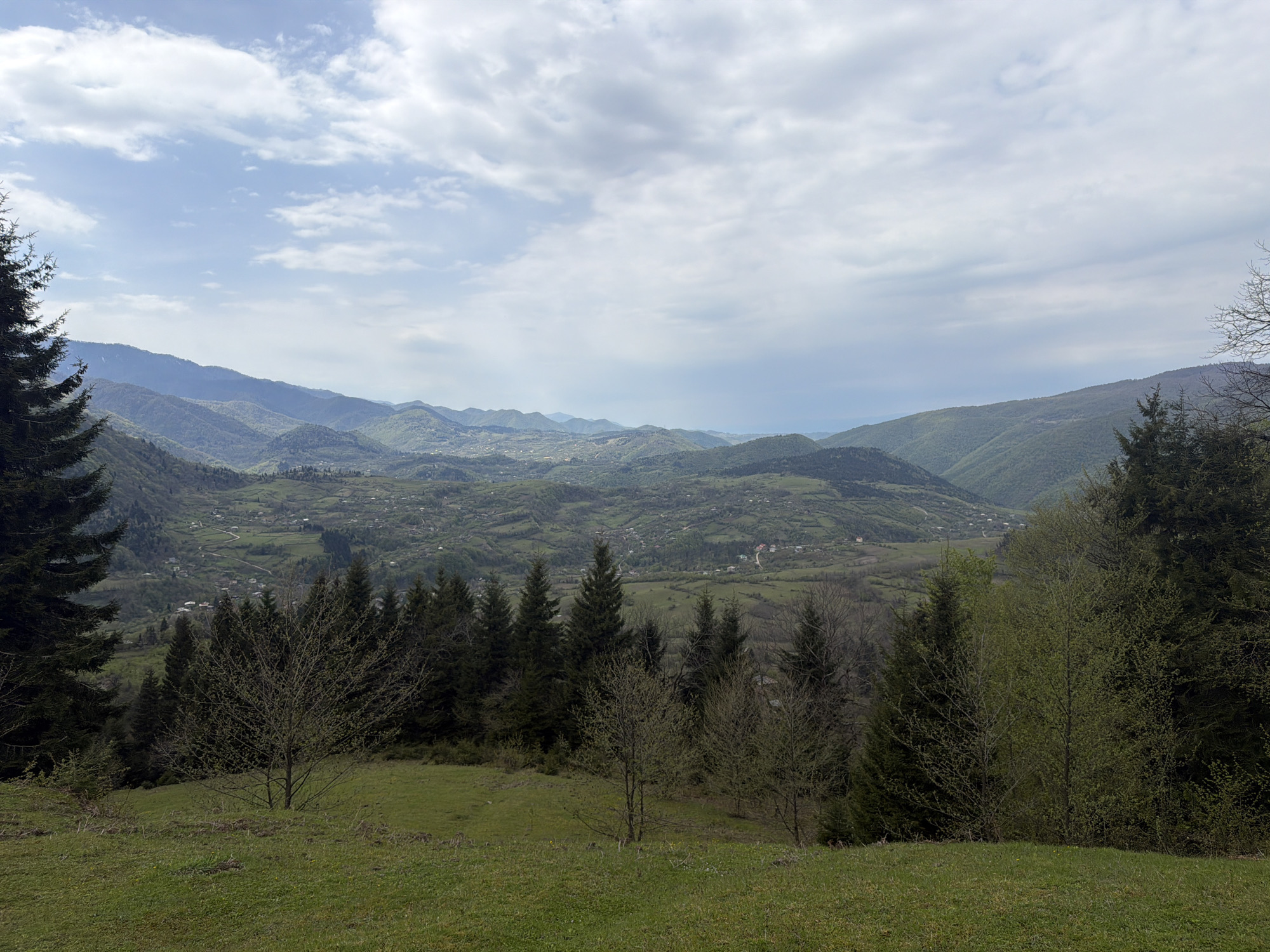 The image shows a landscape in Vakhani, Georgia. The foreground features a grassy field with scattered trees. Several tall coniferous trees are prominent on the left and right edges of the frame. In the middle ground, a valley with rolling hills and sparse settlements is visible. The background reveals distant mountains under a cloudy sky. No people are visible.