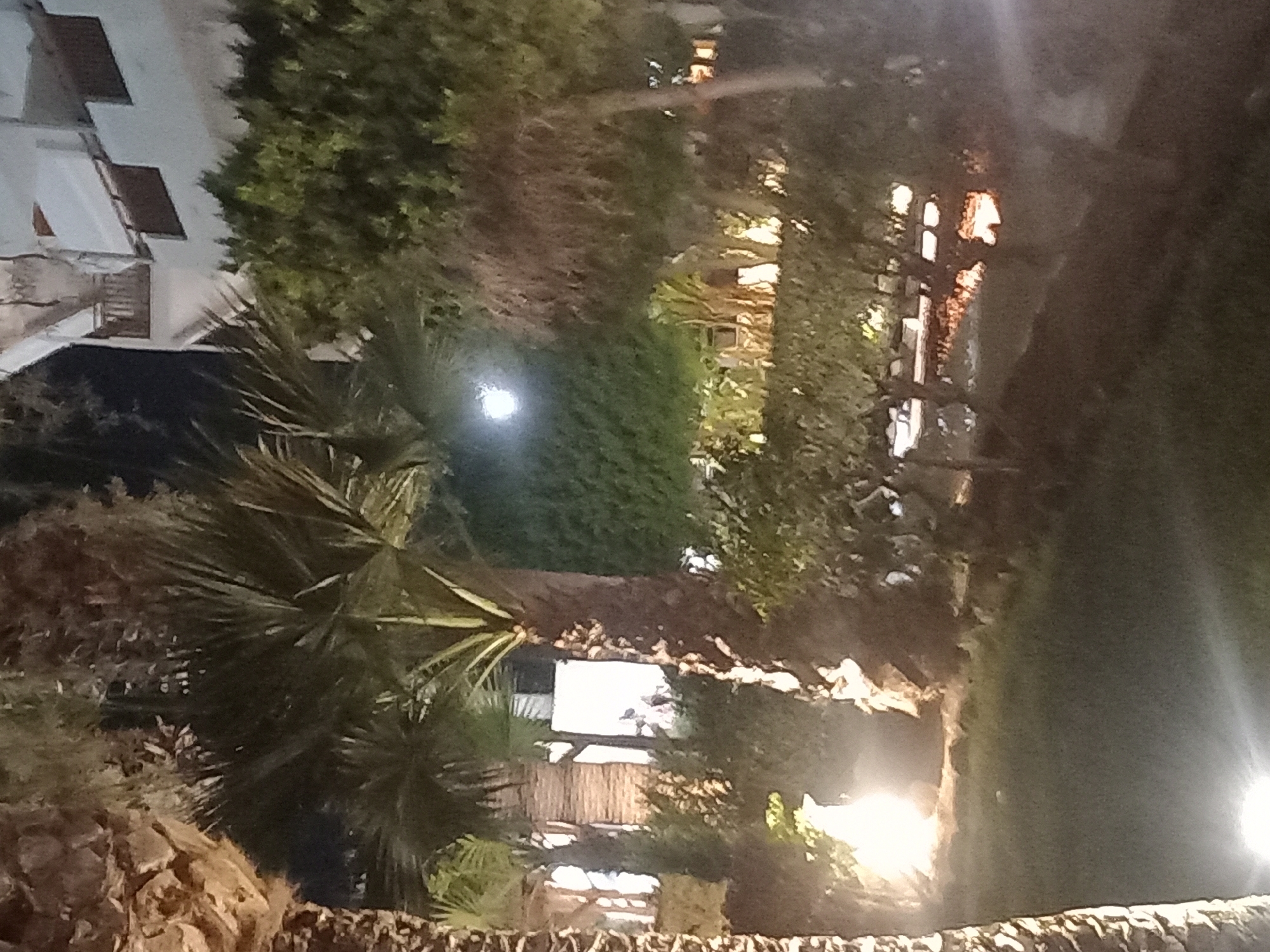This is a nighttime photograph of a garden area outside a building, likely a hotel or resort, in Kos, Greece. A large palm tree trunk is visible on the left, with its fronds obscuring the background. In the center, another palm tree stands tall, its leaves spread out against a dark sky. Behind it, a building with multiple levels and balconies is illuminated. The garden features neatly trimmed hedges and some trees, with several bright lights illuminating the scene from ground level. A bright circular light, possibly the moon or a strong lamp, is visible in the upper left quadrant of the image, shining through the foliage. There are no discernible people or active interactions depicted in the scene. The overall impression is of a well-maintained outdoor space at night.