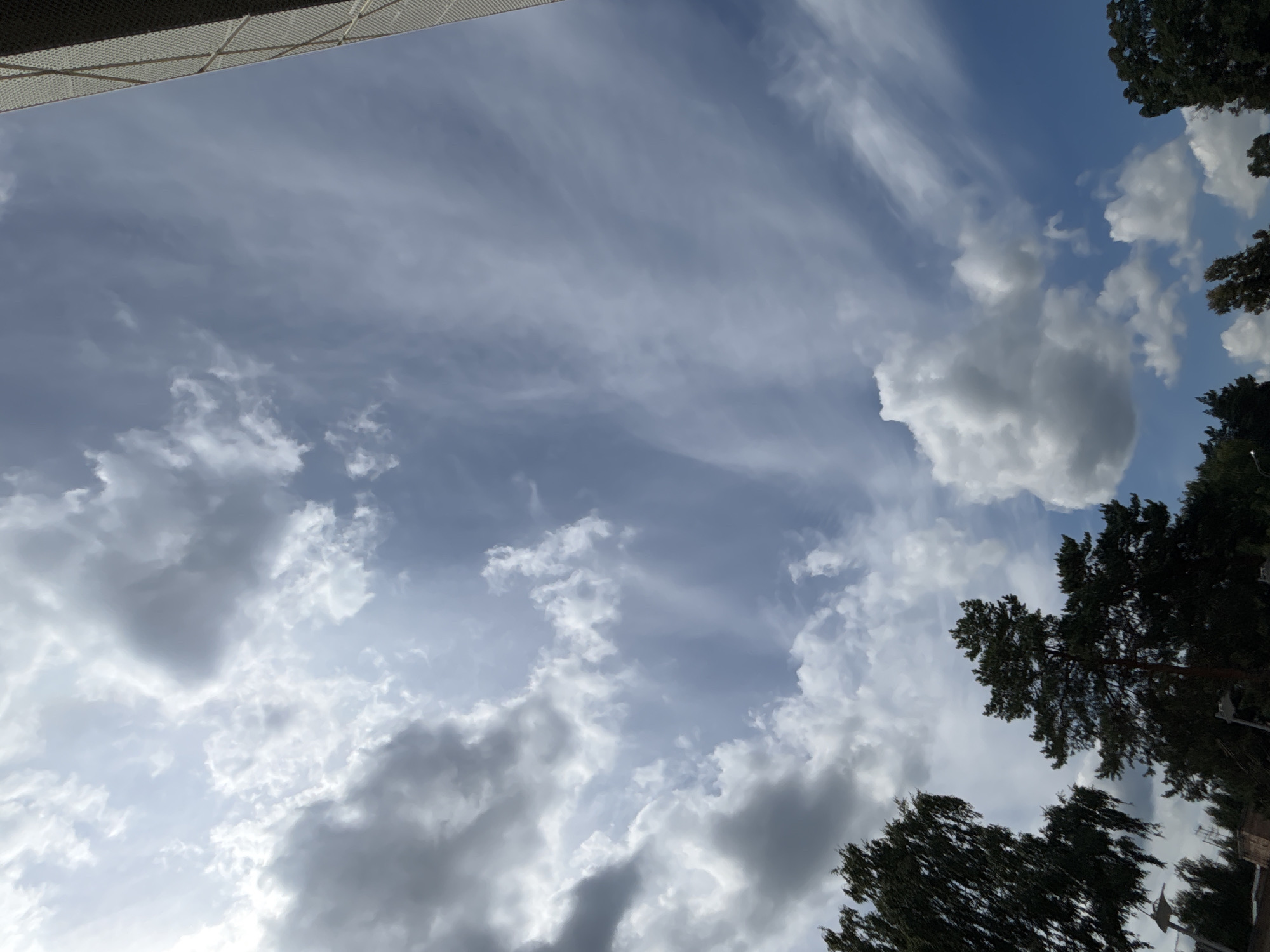 The image shows a sky filled with a mix of clouds, with the sun partially obscured by darker, heavier clouds on the left side. Wispy, lighter clouds stretch across the upper right portion of the frame. The lower edge of the image features the dark silhouettes of trees, including what appears to be a pine tree and a birch tree, against the brighter sky. In the background, below the trees, there are hints of urban structures, possibly including streetlights and buildings, suggesting a location within a city or town. A section of a building's exterior, featuring a grid-like pattern, is visible along the far right edge of the image. The scene captures an outdoor environment, likely a park or residential area, in Gorki-2, Russia, under a dynamic sky.