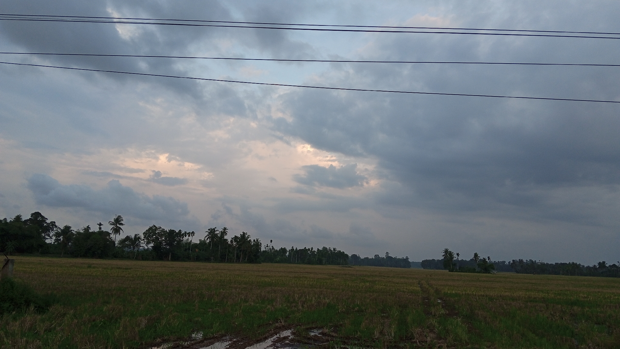 The image depicts a landscape in Kilometer Delapan, Indonesia. In the foreground, a harvested rice field stretches toward a line of trees and vegetation. The soil at the edge of the field appears wet and muddy. Overhead, a cloudy sky dominates the scene, with what looks like overcast conditions. Power lines run across the top portion of the frame.