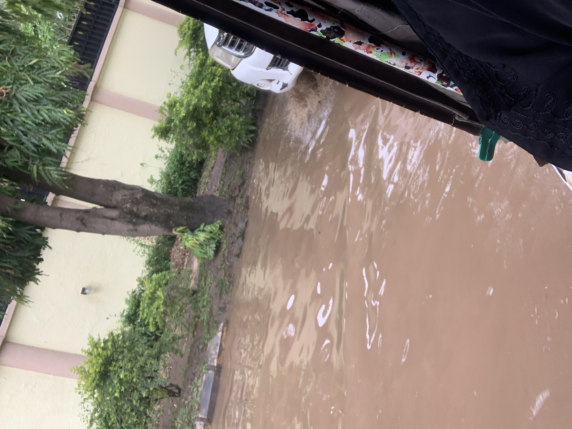 The image depicts a flooded scene in Abuja, Nigeria, likely due to heavy rainfall. The foreground is dominated by muddy, brown water, reflecting the overcast sky. Partially submerged in the water is the front of a white SUV, its tires and lower body hidden by the flood. The car appears to be in motion or has recently been, as indicated by ripples and splashing water around it.
To the left of the water, lush green vegetation lines a pale yellow wall, which has pink horizontal stripes. A dark, wrought-iron fence is visible above the foliage. Two tree trunks are prominent, with one extending diagonally across the lower left quadrant of the image, its branches thick with green leaves. Further left, more dense green foliage is visible.
In the upper right portion of the image, a black fabric is draped, possibly part of a vehicle's interior or an umbrella, with a colorful, abstract pattern visible beneath it. A small, bright green object, possibly a clip or hook, is attached to the edge of this fabric. The scene conveys the disruptive impact of flooding, with the car navigating through the water as a sign of the ongoing event. The presence of trees and a wall suggests a residential or institutional area, common in Abuja. The overall atmosphere is one of a disrupted daily life due to severe weather.