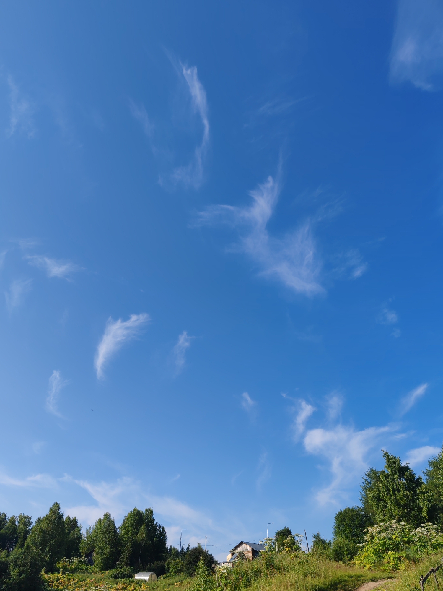 A bright, clear blue sky with sparse, wispy white clouds dominates the upper half of the image. Below the sky, a dense line of green trees forms a horizon. Among the trees, several structures are partially visible, including a small wooden building with a dark roof and a greenhouse with a transparent, arched cover. The foreground is a grassy slope, with patches of yellow and green vegetation. A dirt path winds through the grass on the right side of the image. The scene appears to be a rural or semi-rural landscape.