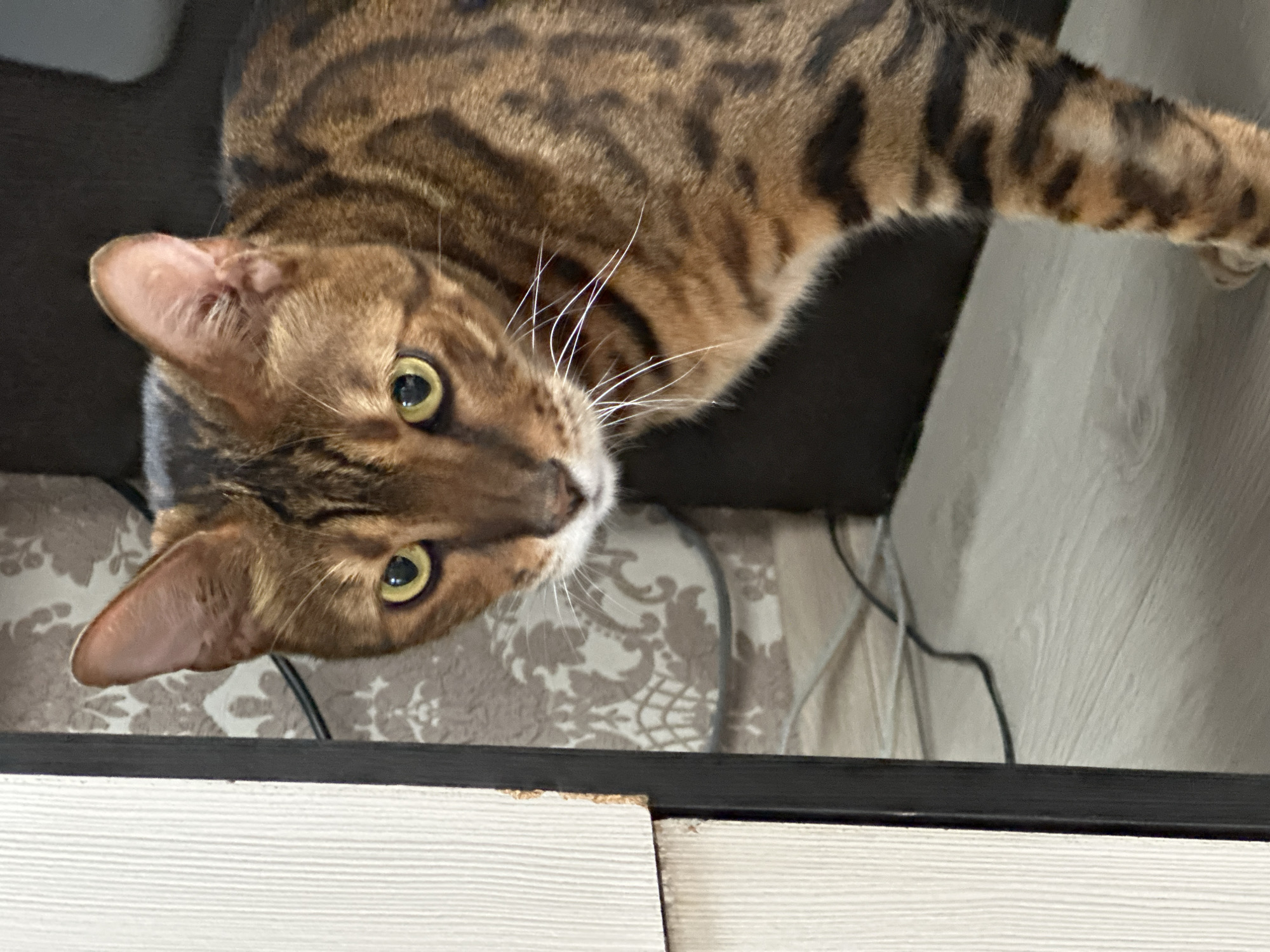 A Bengal cat with distinctive brown and black rosettes is captured in a close-up shot, its yellow-green eyes looking directly at the camera. The cat is positioned to the right of a tall, light-colored cabinet with a textured surface. The background shows a wall with a patterned wallpaper in shades of beige and brown, and some electrical cords are visible on a light wooden floor. The image appears to have been taken indoors, likely in a residential setting. There is no indication of the city of Energetik, Russia.