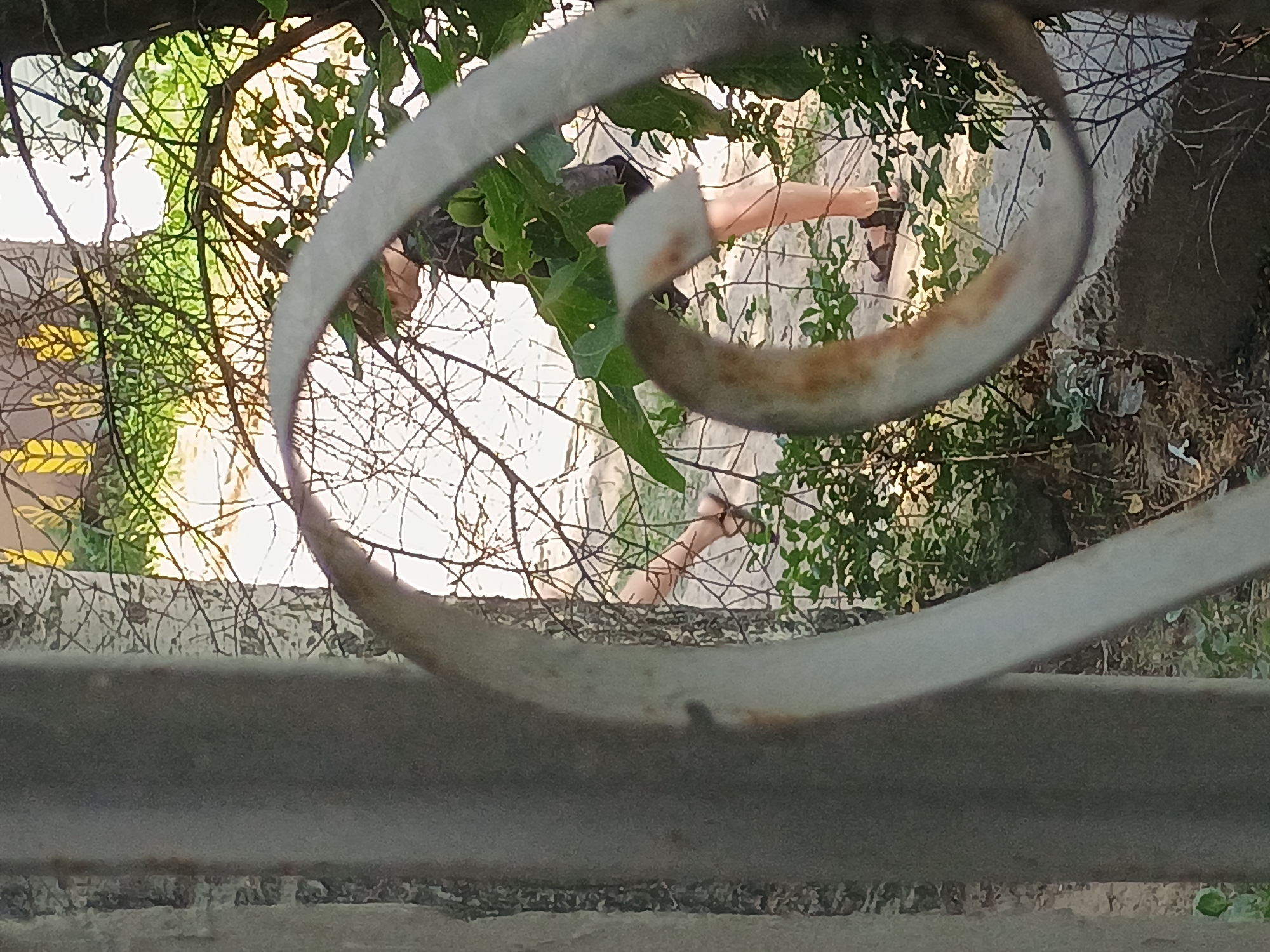 The image shows a person's legs and feet from the knees down, wearing sandals and standing on a cobblestone-like surface. The person is surrounded by dense green foliage and trees with bare branches. In the foreground, a rusty metal scrollwork element partially obstructs the view. The background is blurred and shows hints of a yellow structure and sunlight filtering through the leaves. This scene is located in a park or garden area within the city of Zaporizhzhia, Ukraine.