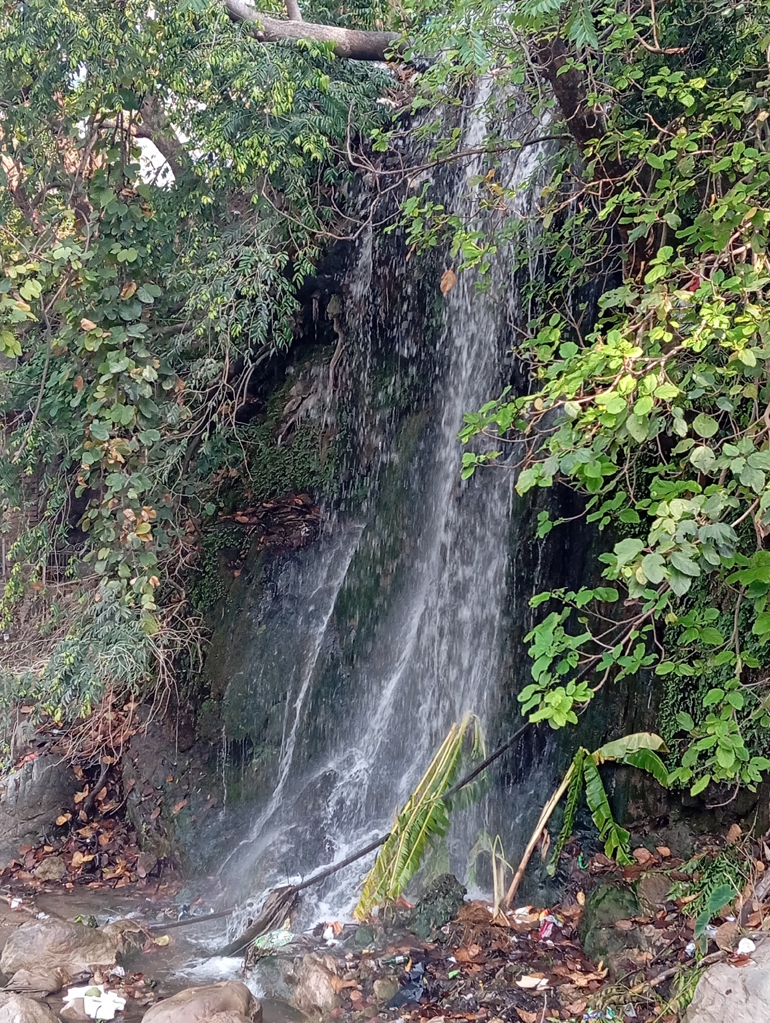 The image depicts a small waterfall within a heavily vegetated area. The waterfall is central to the image, with water cascading down a mossy rock face. Dense foliage frames the waterfall on both sides, comprised of various trees and leafy plants, some with prominent vines. At the base of the waterfall, there is an accumulation of debris, including fallen leaves, branches, and what appears to be discarded trash. Rocks are visible in the foreground, partially submerged in the water. The location is Narendra Nagar, India.