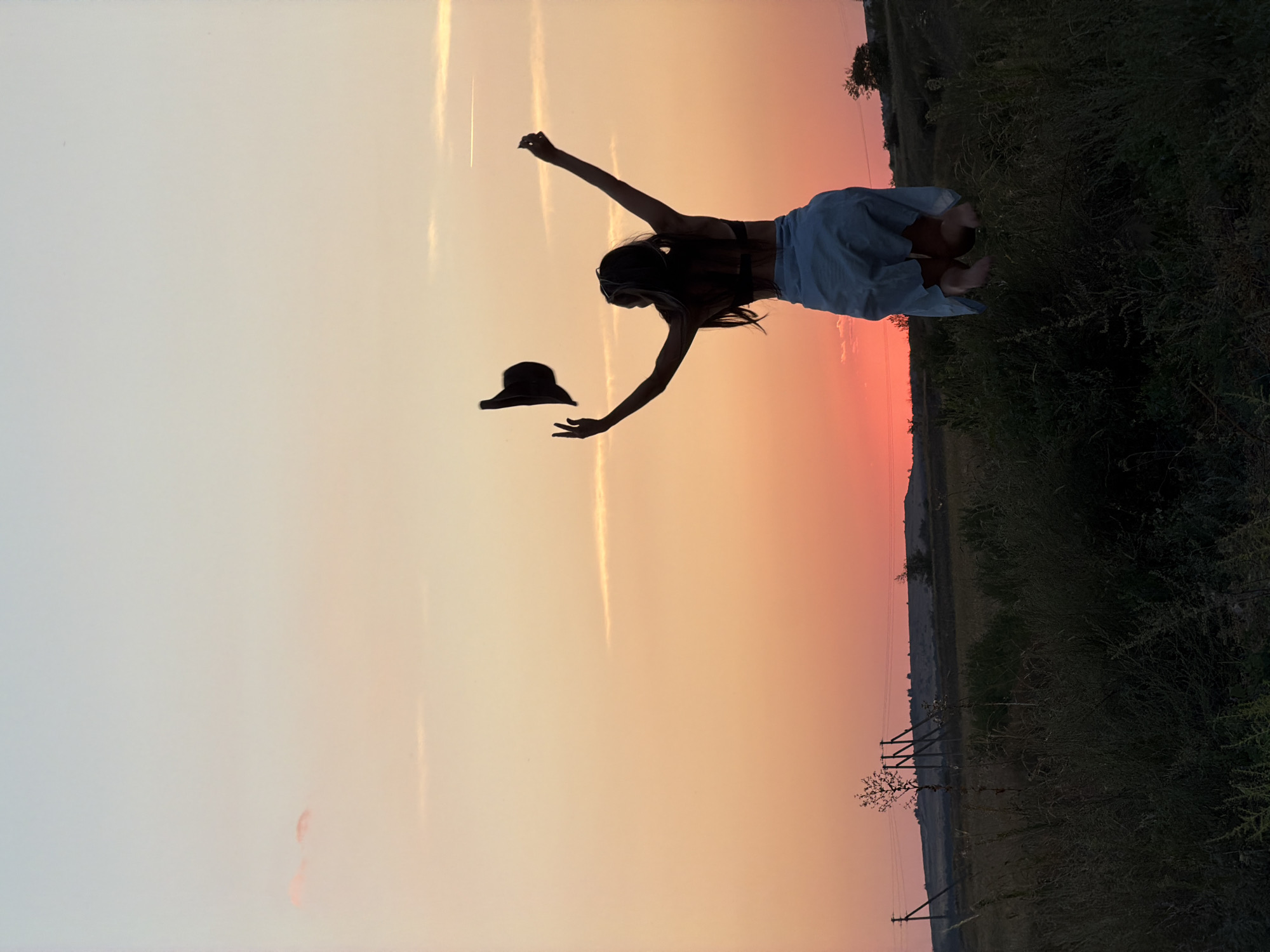 The image depicts a silhouette of a young woman jumping with her arms outstretched against a sunset sky. She is holding a dark hat in her raised right hand. The sky transitions from a pale blue at the top to orange and pink hues towards the horizon. In the foreground, there is a field with tall grass and vegetation. In the background, a line of power poles and a gentle hill are visible. The overall impression is one of freedom and joy. The location is not specified in the image.