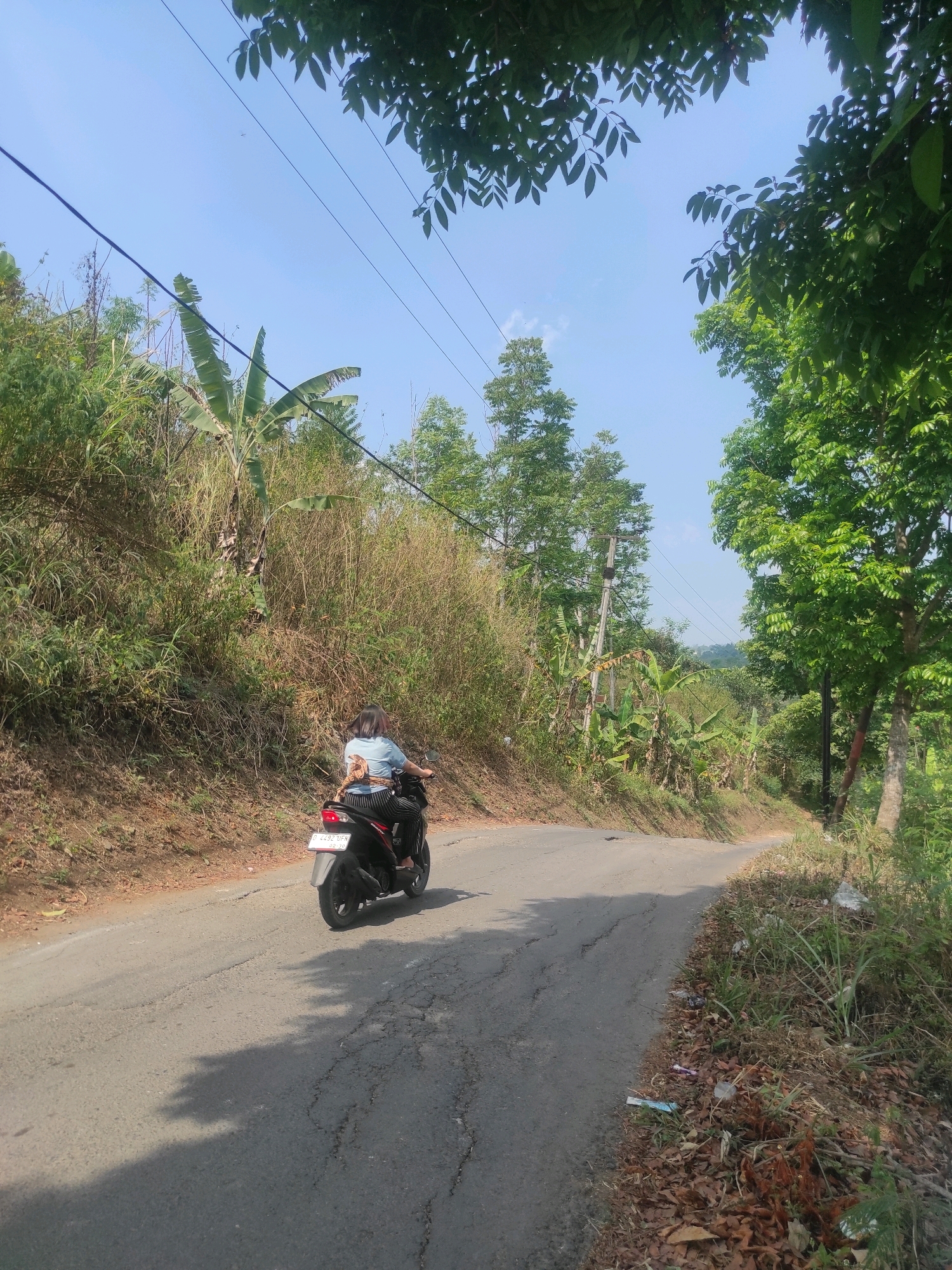 A person rides a dark-colored motorcycle on a paved road that curves uphill and to the right. The rider, wearing a light blue shirt and dark pants, is facing away from the camera. Their hair is tied up, and a rope is secured around their waist and to the back of the motorcycle. The road is bordered by a steep, vegetated embankment on the left, with dry grasses and some banana plants visible. On the right side of the road, there are trees and more vegetation, with some litter visible on the ground near the edge. Overhead, power lines stretch across the clear blue sky, and foliage from trees dangles from the top of the frame. The scene appears to be a rural or semi-rural area, possibly on the outskirts of Ngamprah, Indonesia, given the vegetation and the presence of power lines, typical of such locations. The road surface is cracked and worn.