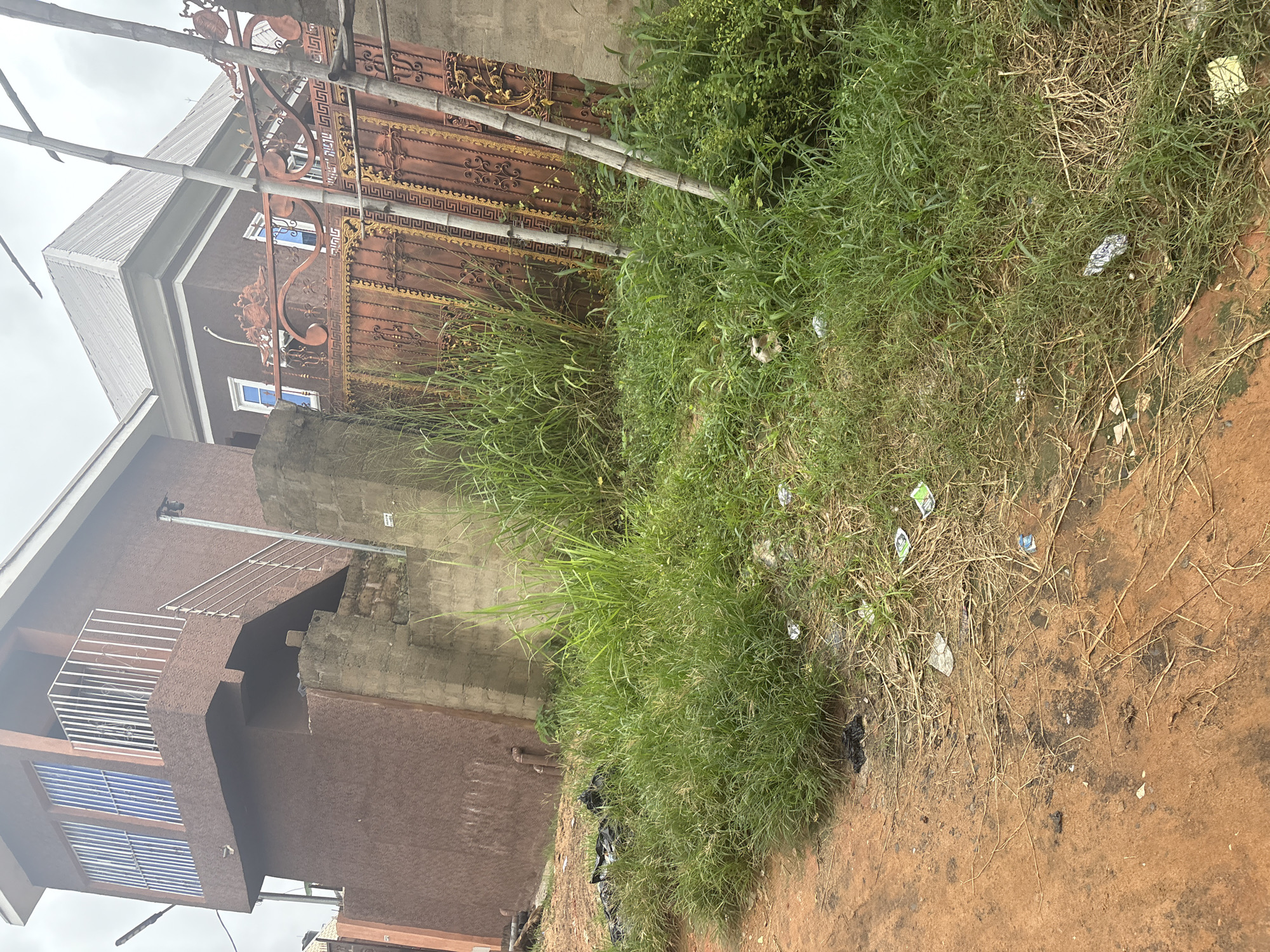 A medium shot captures an overcast day in Obosi, Nigeria, focusing on a dusty, red-dirt pathway leading towards a large, ornate, coppery-orange metal gate. The gate features intricate scrollwork and geometric patterns, with vertical bamboo poles propped against it. Beyond the gate, a portion of a brown building with white-trimmed windows is visible. To the left of the pathway, tall, green grass grows abundantly, interspersed with scattered pieces of white and colored litter. A dark, plastic-wrapped object rests within the grass on the left. Further left, a dark brown building with a white railing and staircase is seen. The environment suggests an undeveloped or recently constructed area, with the presence of building materials and untamed vegetation.