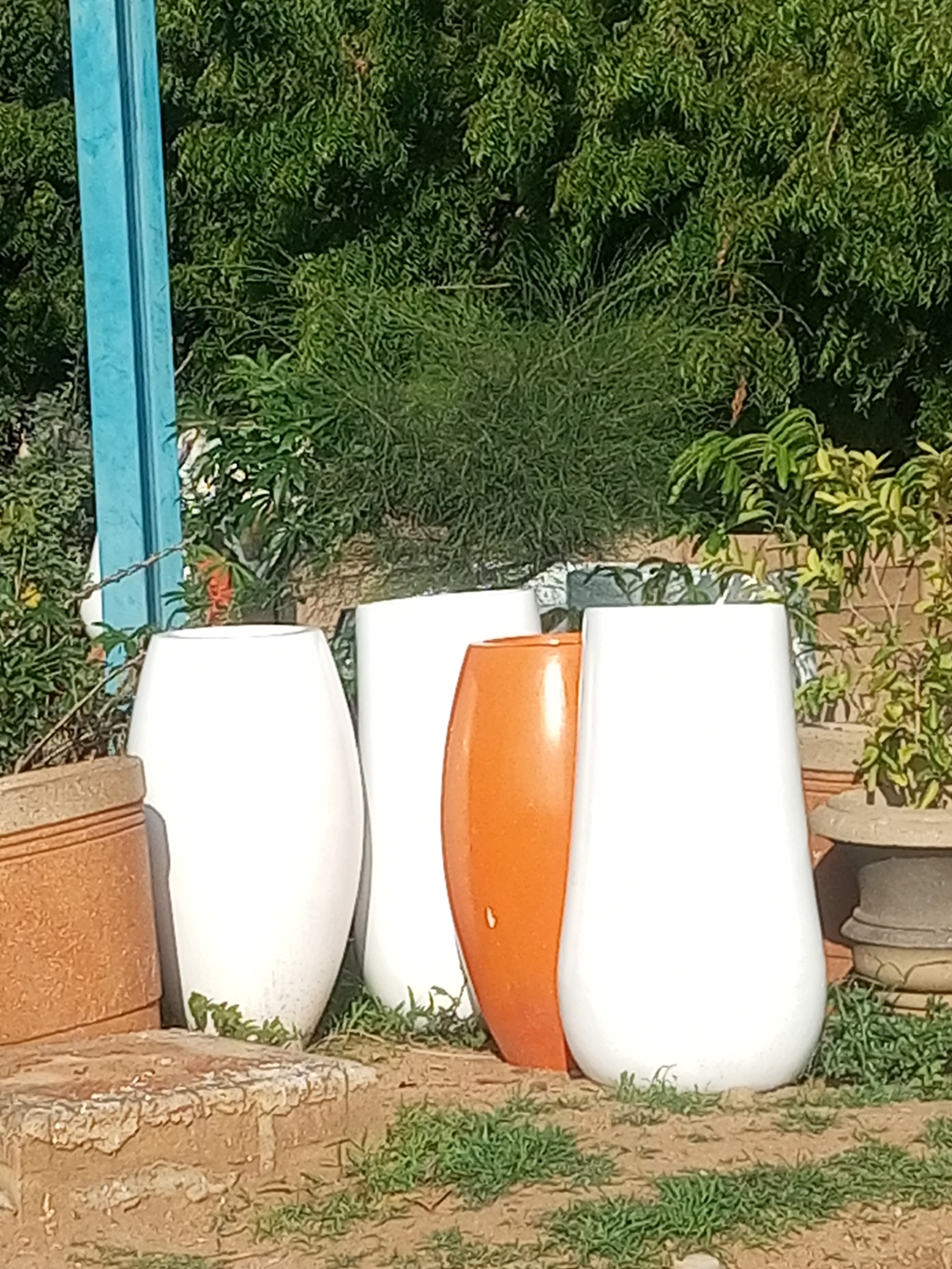 The image shows a collection of large, decorative planters arranged outdoors. The planters are of various sizes and colors, with three prominent white planters and one bright orange planter in the center. To the left, a portion of a terracotta-colored planter is visible, and further to the left, a bright blue vertical post stands out against the greenery.
The background is filled with lush green foliage, suggesting a garden or outdoor nursery setting. The lighting indicates it is daytime, likely with clear weather, as the sun casts shadows and illuminates the planters. The ground is covered with dry earth and scattered patches of grass.
The scene appears to be a display of planters for sale or decoration, possibly in a market or a garden center. There are no people visible in the frame, and no text is present. The overall impression is one of outdoor display and horticulture. The location context of Gombe, Nigeria, suggests a warm climate, which is consistent with the outdoor setting and the type of vegetation.