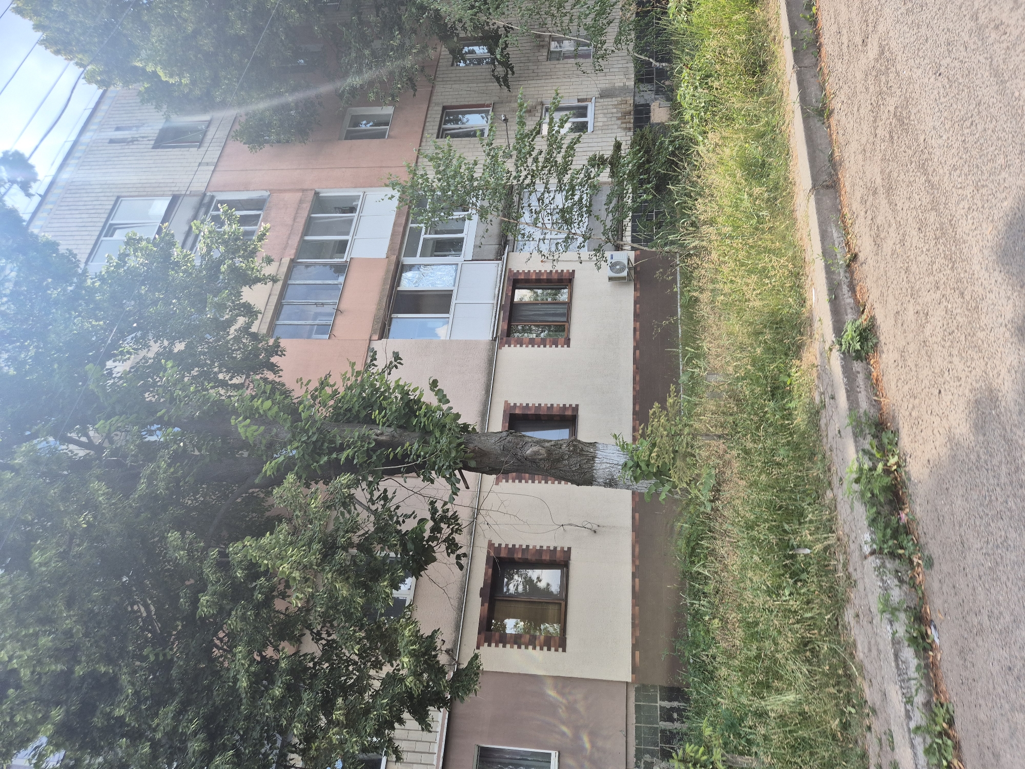 The image shows a section of a multi-story apartment building with light brown and pink facades, partially obscured by mature trees. The building features numerous windows, some with balconies. The foreground consists of a sidewalk with overgrown grass and weeds, and a paved road. The scene appears to be a residential area in Sozonivka, Ukraine. There are no people or specific actions depicted in the image.