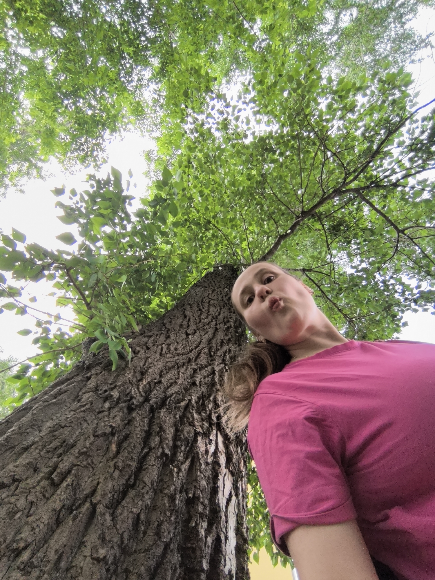 A low-angle, upward-facing shot captures a woman making a playful expression next to a large tree. The woman, positioned on the right side of the frame, has her head tilted, and she is making a "duck face" or "pouty" expression with her lips. Her light-colored hair is visible behind her head, and she is wearing a bright pink t-shirt.
The central subject is a thick tree trunk with deeply textured, dark bark, rising from the bottom left towards the upper center of the image. Lush green leaves and branches from the tree canopy fill the upper portion of the frame, silhouetted against a bright, almost blown-out sky, suggesting a clear or overcast daytime setting. The sunlight filters through the leaves, creating bright patches. The perspective implies the photo is a selfie taken from a low angle, looking up towards the tree and sky. No text is visible in the image.