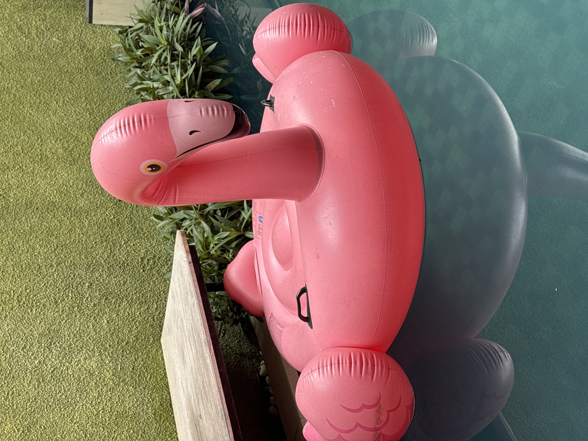 This image captures a vibrant outdoor scene, likely a poolside area in Kuta Selatan, Indonesia. The main subject is a large, pink inflatable flamingo pool float, positioned in clear blue-green water. The flamingo is oriented with its head facing towards the top left of the frame, featuring bright yellow and black eyes, a black-tipped beak, and painted black eyelashes. Its inflatable body is ribbed in sections and includes a black handle on its side. The lower part of the flamingo's body, where the legs would be, features a subtle scale-like pattern. Below the water's surface, a shadow reveals a checkerboard pattern on the pool floor.
To the left of the flamingo, a strip of light-colored wooden decking or border separates the pool from a patch of green artificial turf. Beyond the turf and wood, lush green plants with hints of reddish-purple foliage are visible, suggesting a tropical environment. Part of another dark-colored inflatable object is partially submerged in the water behind the pink flamingo, casting a distinct shadow. The bright lighting suggests it is daytime, likely sunny, and the overall atmosphere is one of leisure and relaxation. While there are some blue and white markings on the flamingo's side, possibly text or branding, they are too small and blurry to be legible.