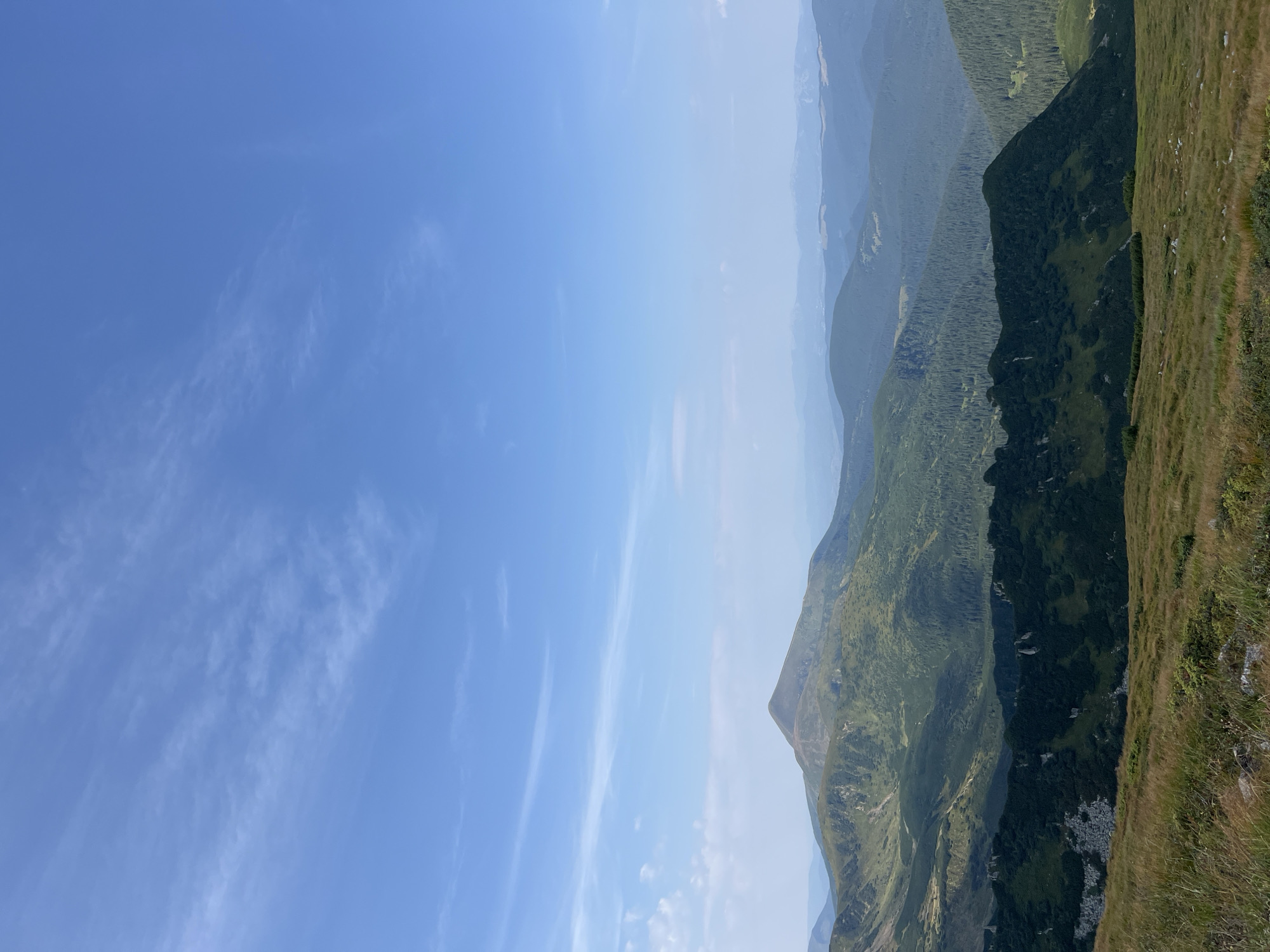 A panoramic, eye-level, medium shot captures a vast mountain landscape under a clear blue sky with wispy clouds. The foreground is dominated by a grassy slope dotted with small green bushes and rocks. Beyond this, the terrain descends into a valley filled with dense, dark green coniferous trees. Further in the distance, a series of rolling hills and mountains recede into a hazy blue, culminating in a prominent, rounded peak in the center left of the frame, likely Mount Hoverla, the highest peak in Ukraine and part of the Carpathian Mountains near the city of Vorokhta. The lighting suggests it is daytime, with soft sunlight illuminating the scene.