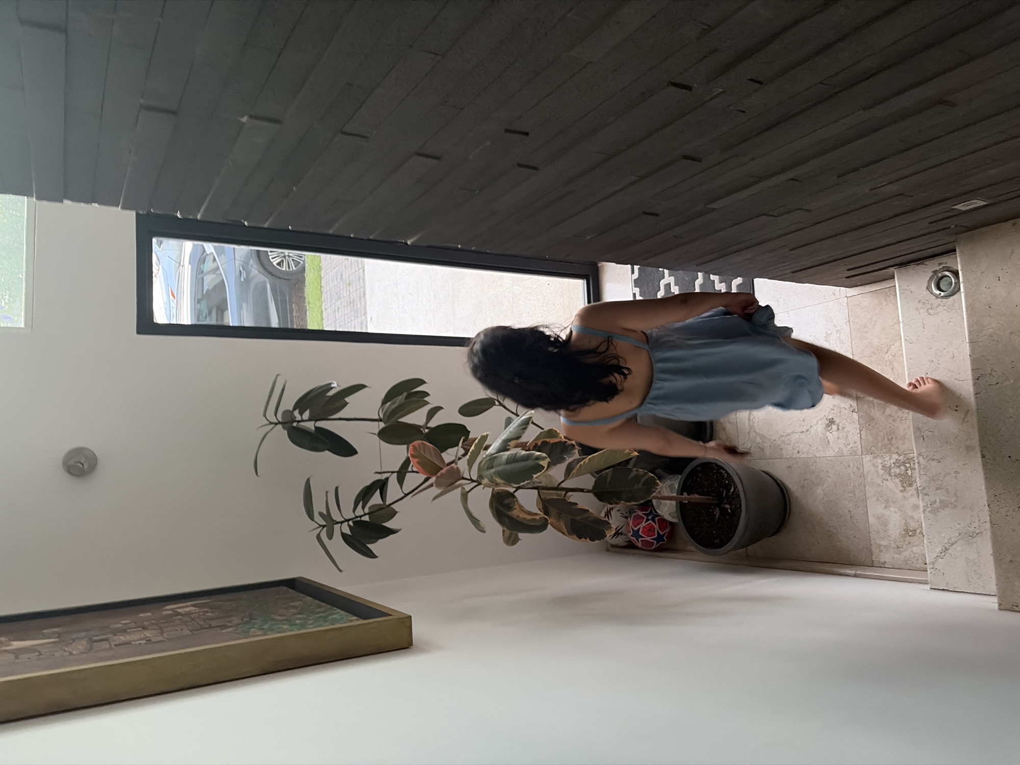 The image depicts an indoor scene, likely a modern entrance or hallway, located in San Bernardino Tlaxcalancingo, Mexico. A person, appearing to be a woman with dark hair and wearing a light blue dress, is captured from behind in the mid-ground, either walking or tending to a large potted plant. The plant, possibly a Ficus Elastica, features dark green leaves with some reddish-brown and variegated patterns. A small, multi-colored patterned ball is visible near the plant's pot.
The interior boasts white walls and a distinct dark, horizontally textured ceiling. The floor is laid with light-colored tiles, possibly stone. A wide rectangular window on the left side of the frame offers a view of a silver car parked on a paved area outside, bordered by green foliage. In the lower-left corner, a framed piece of artwork rests on a low, white surface. The scene is well-lit by natural daylight, indicating it is daytime. No discernible text is visible within the image.