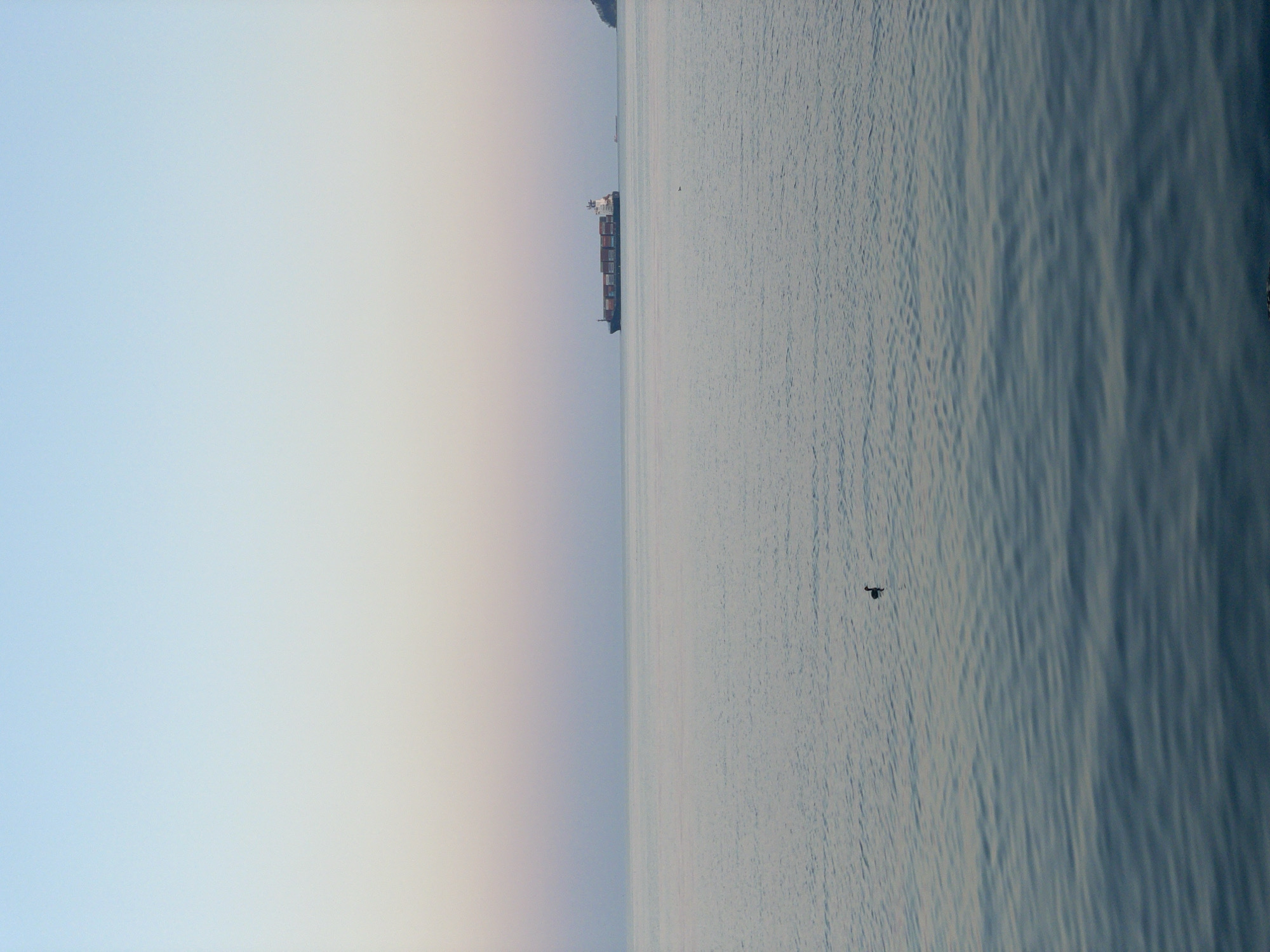 The image shows a body of water, likely the Black Sea, under a hazy sky transitioning from light blue to pale pink. A cargo ship is visible in the distance, near the horizon line. In the water, a small, dark object resembling a drone or a bird is visible. The location is possibly near Varna, Bulgaria, given the context. The water exhibits subtle ripples suggesting movement, and the overall scene evokes a sense of stillness and vastness.