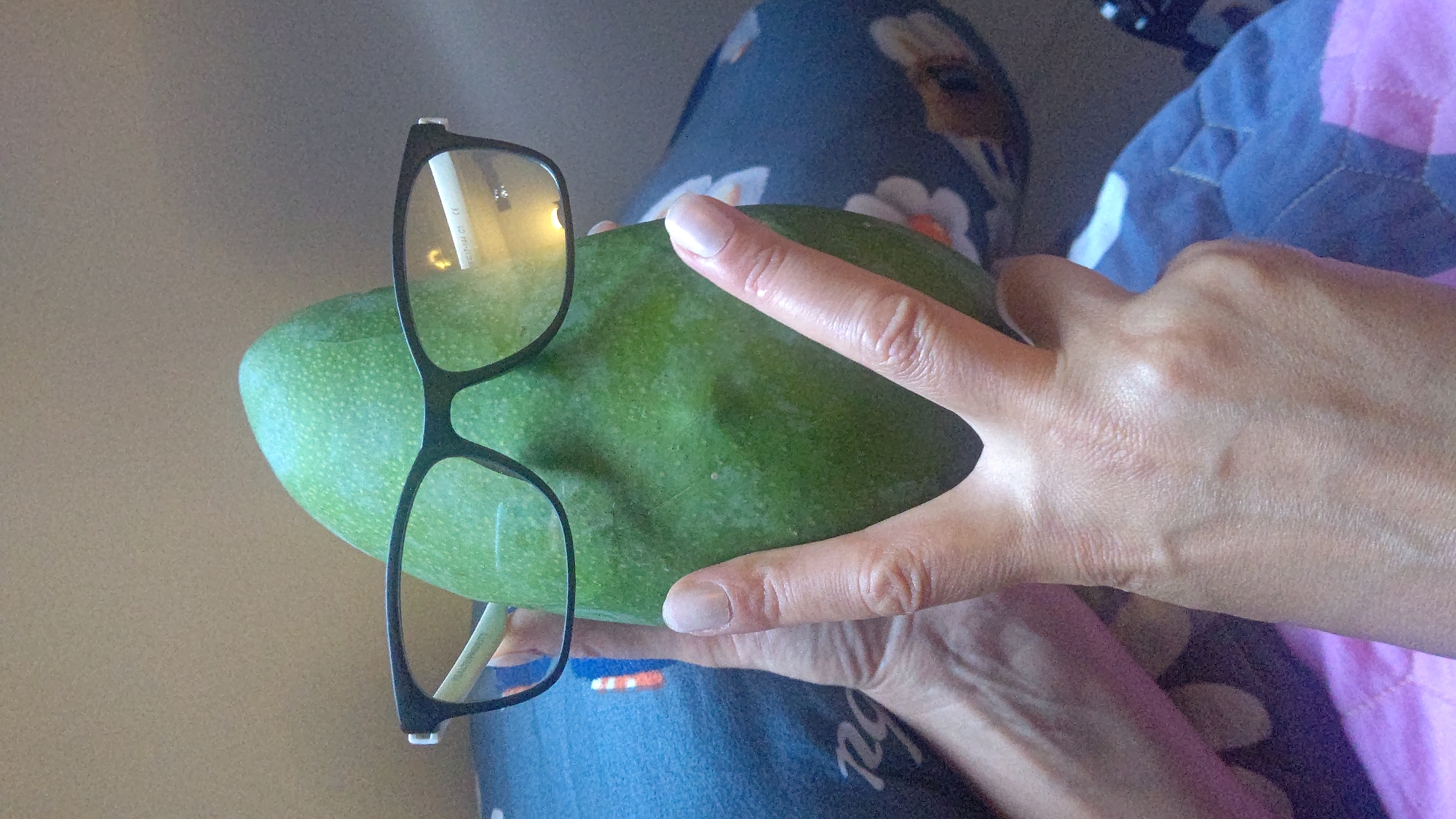 The image shows a close-up of a person's hands holding a large, green mango. The person is wearing dark blue pants with a floral pattern. On the left side of the image, a pair of black-rimmed glasses rests on the mango. The person's fingers are spread around the mango, with their thumb and index finger forming a "V" shape. The background is blurred, but appears to be a home setting, possibly a bed, given the quilted fabric of pink and blue colors visible on the right. The lighting suggests it could be daytime, with a bright light reflecting off the glasses. The overall impression is a casual, everyday moment captured. There is some faint text visible on the glasses, but it is illegible.