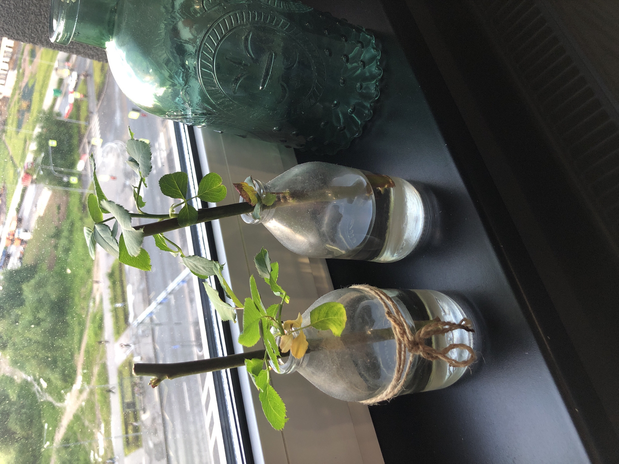 Two glass bottles, each containing a plant cutting submerged in water, are placed on a windowsill in Saint Petersburg, Russia. The left bottle is tied with jute twine. To the right of the bottles is a large, ornate green glass bottle. Through the window, a city street is visible with traffic, pedestrians, and buildings, suggesting an urban environment. The time of day appears to be daytime, with natural light illuminating the scene.
