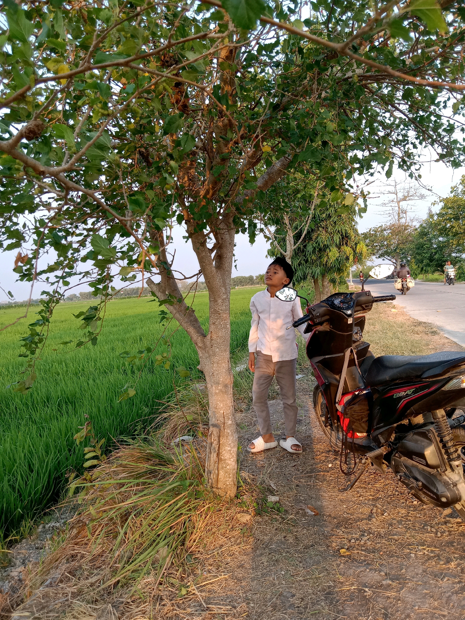 Memory