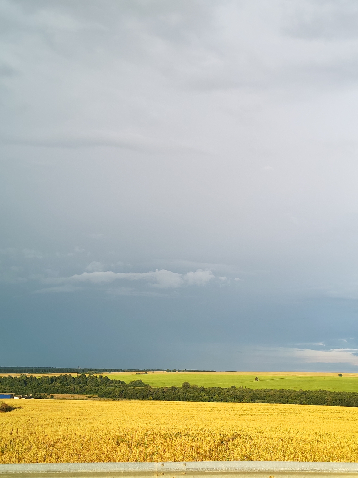 The image depicts a vast, rural landscape under a dramatic sky. In the foreground, a golden field of ripe grain stretches towards the horizon. Beyond this, a dark green band of trees separates it from a vibrant green field. Further in the distance, the sky is dominated by heavy, grey clouds, with patches of lighter sky breaking through. The location is Udmurtskoe Kizekovo, Russia, evident from its characteristic agricultural scenery and the quality of light suggesting a northern latitude. The scene conveys a sense of natural beauty and the immensity of the open countryside.