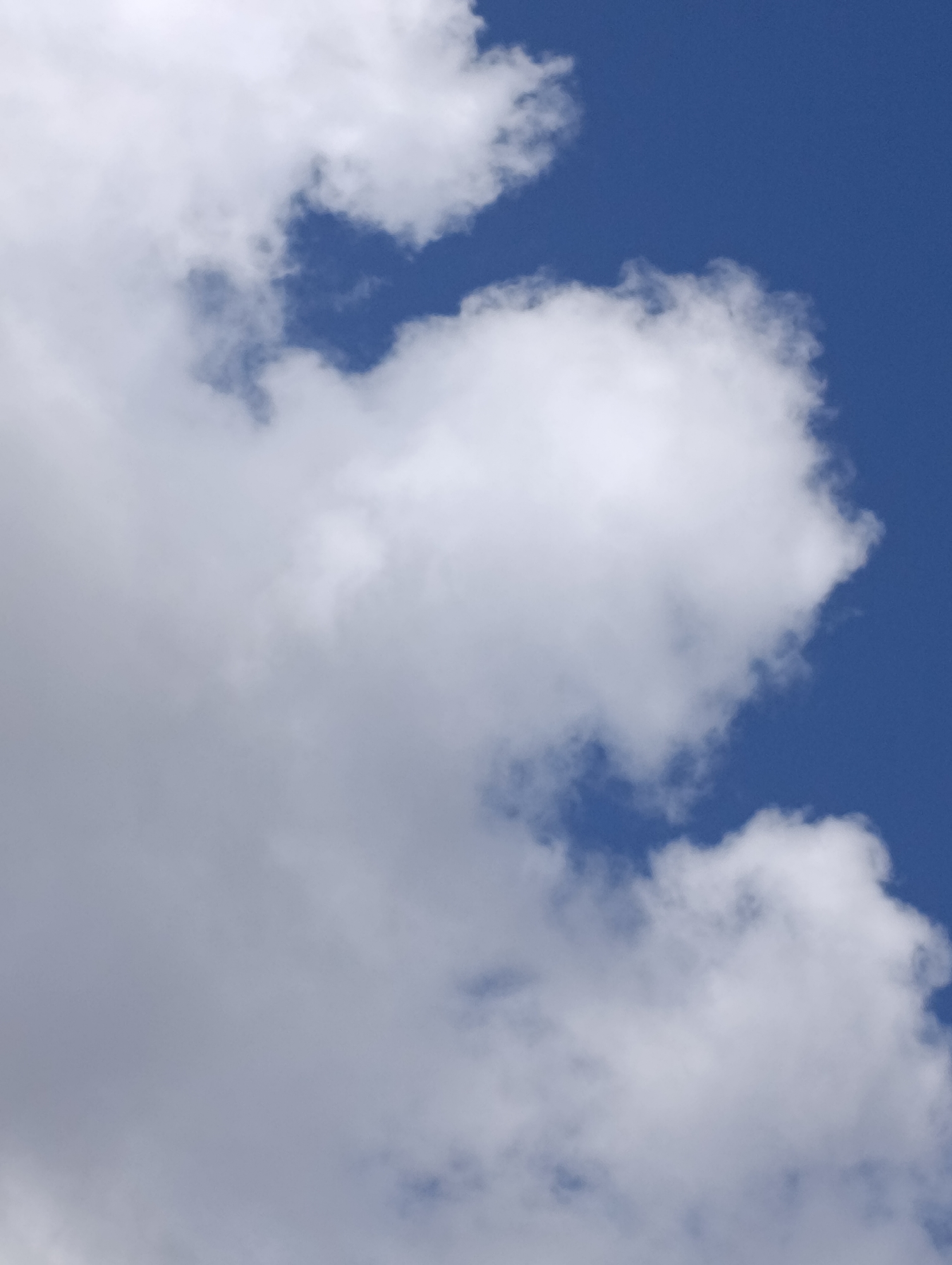 The image is a close-up of a blue sky with white clouds. The clouds are fluffy and appear to be cumulus clouds. The lighting suggests it is daytime. There are no people or objects visible in the image, and no specific location in Setúbal, Portugal can be identified.
