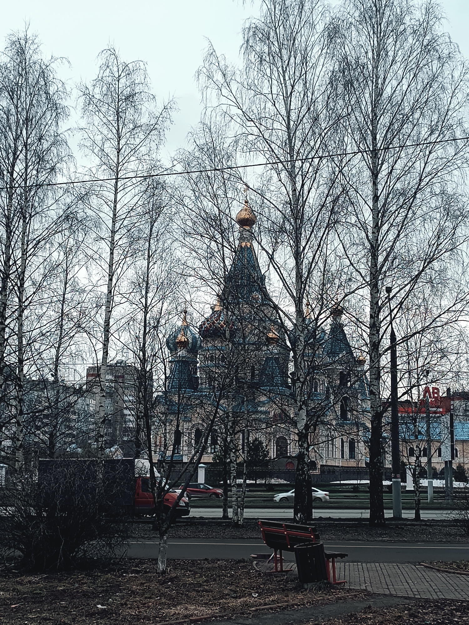 The image depicts a cityscape in Izhevsk, Russia, dominated by a cathedral obscured by leafless birch trees. The cathedral has multiple domes with golden tops and blue-grey roofs. In the background are urban buildings and a commercial sign with the letters "AB" in red. A street runs parallel to the foreground, with vehicular traffic consisting of a red truck and passenger cars. A park-like area exists in the foreground, featuring a bench and sparse vegetation covered with fallen leaves. The overall light suggests it's an overcast day.